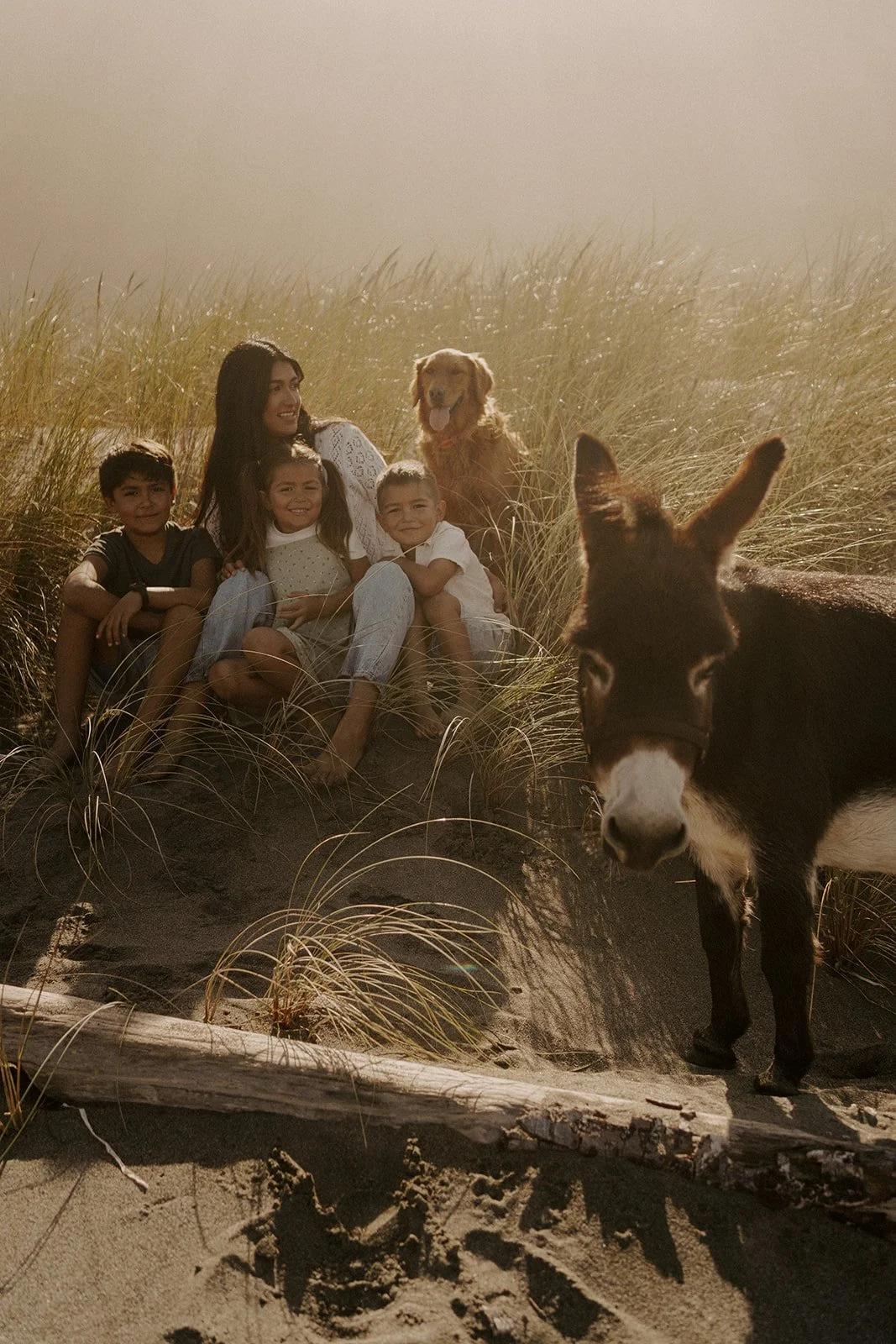 Donkey Hike_-156.jpg