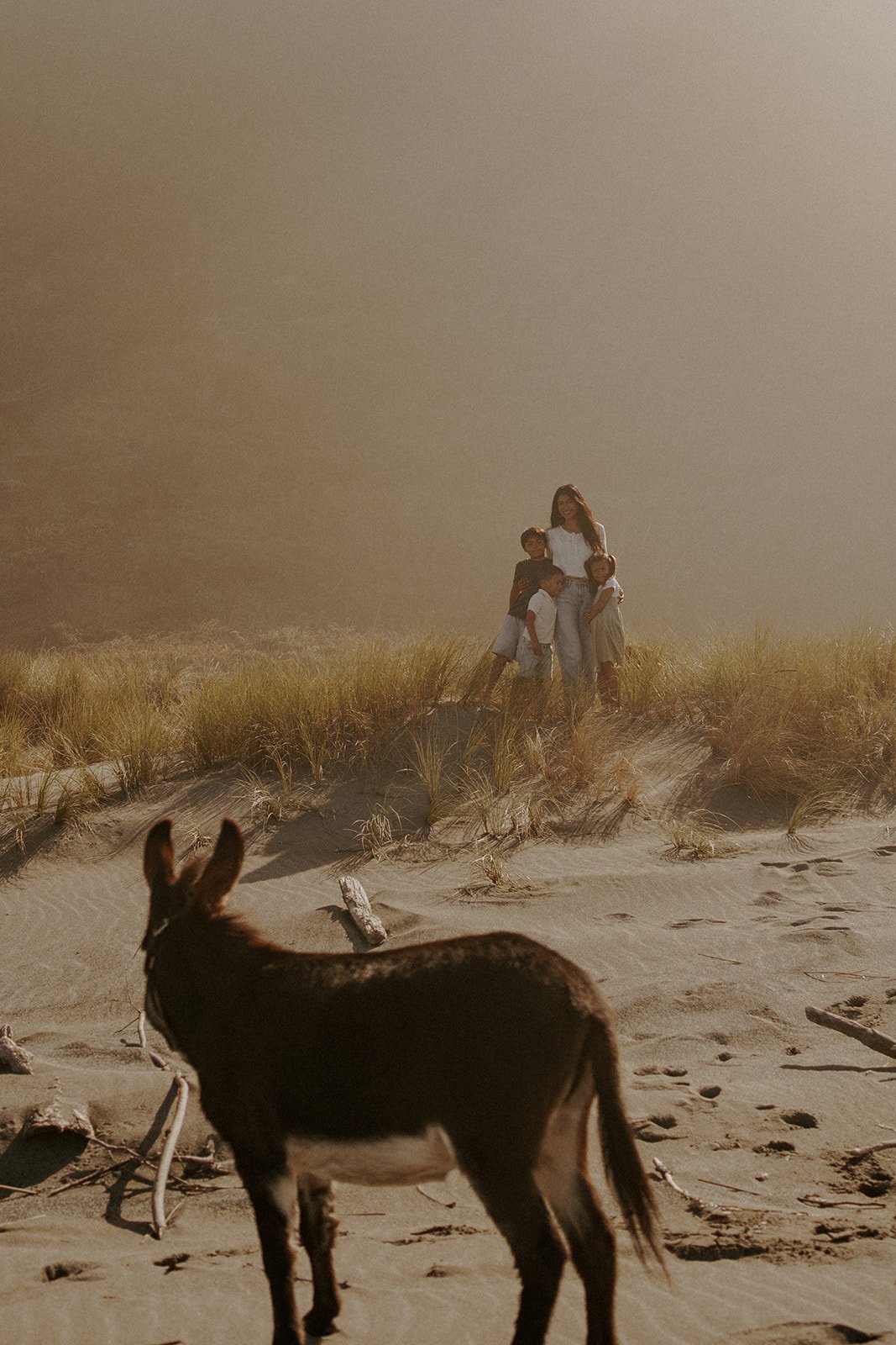 Donkey Hike_-176.jpg