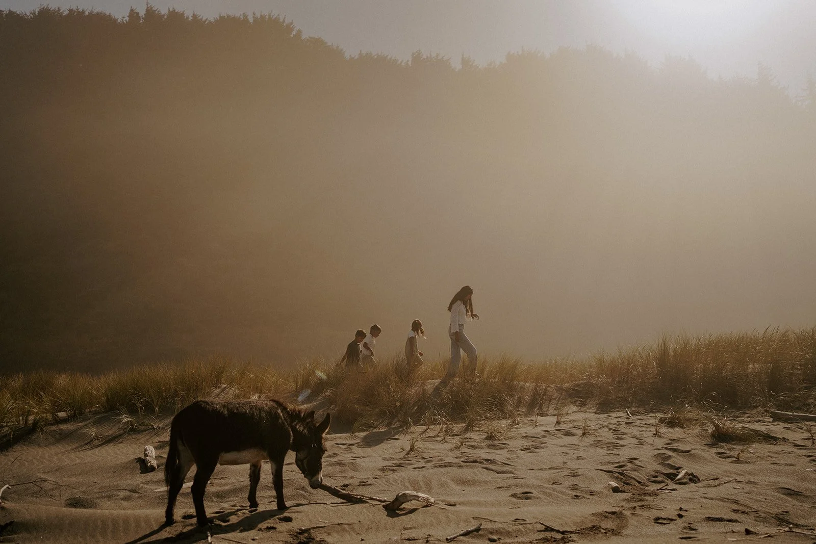 Donkey Hike_-178.jpg