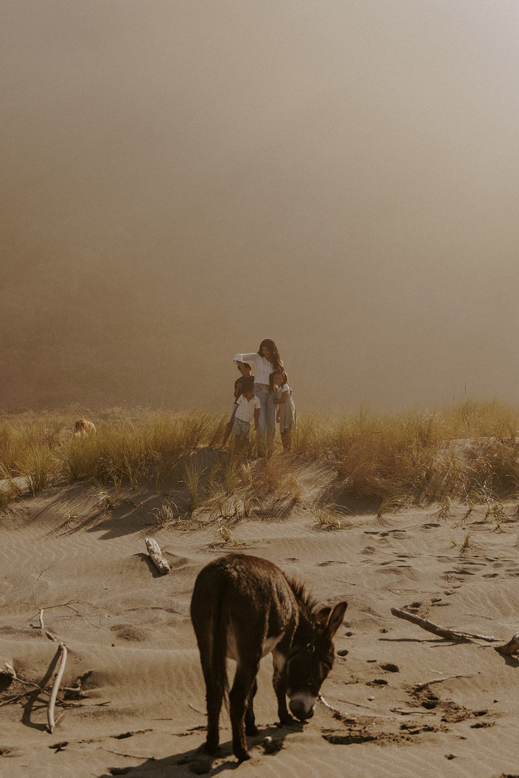 Donkey Hike_-236.jpg