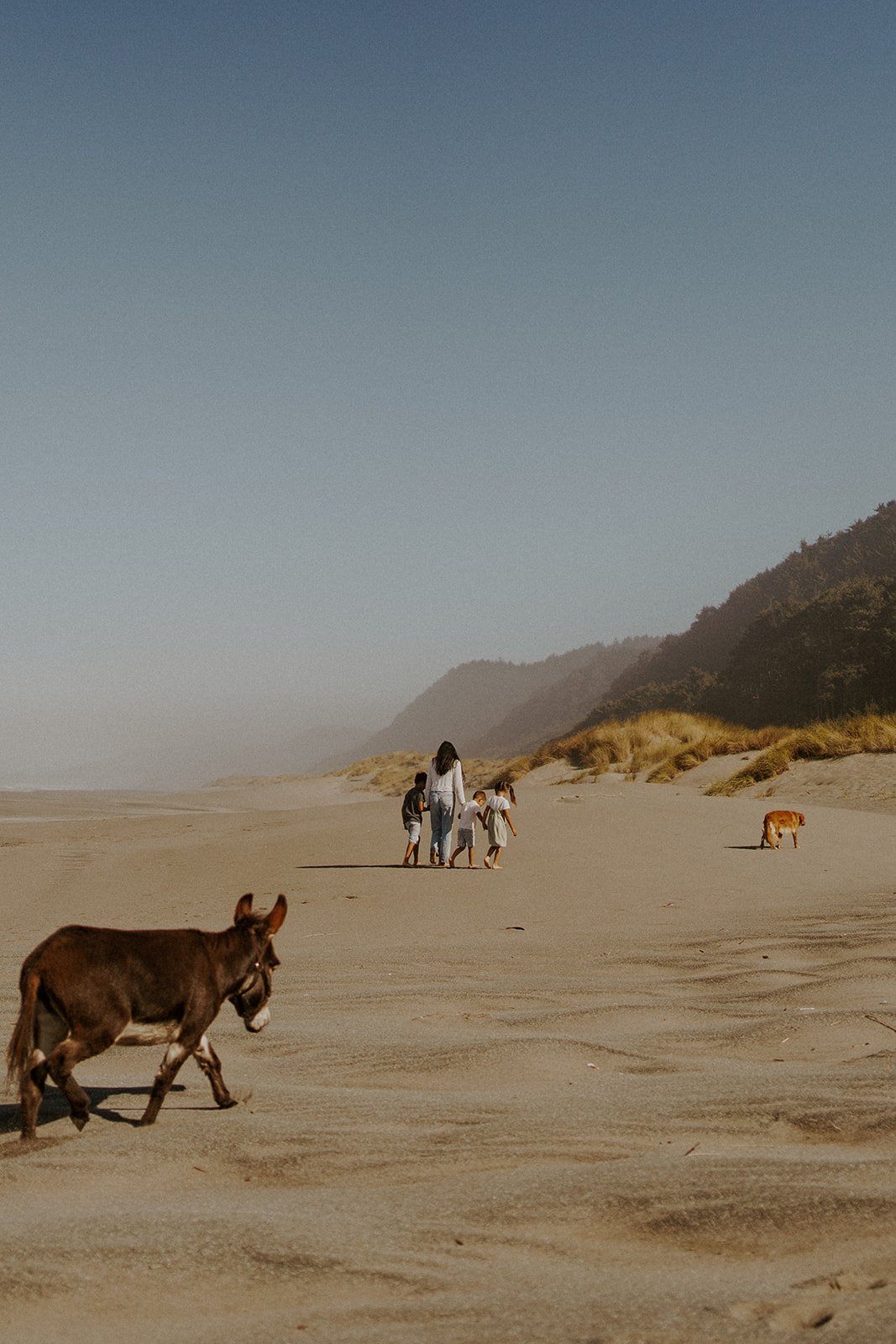 Donkey Hike_-242.jpg