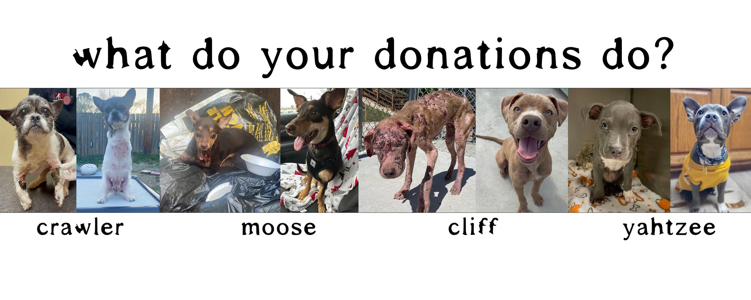 Donate — Mac's Mission