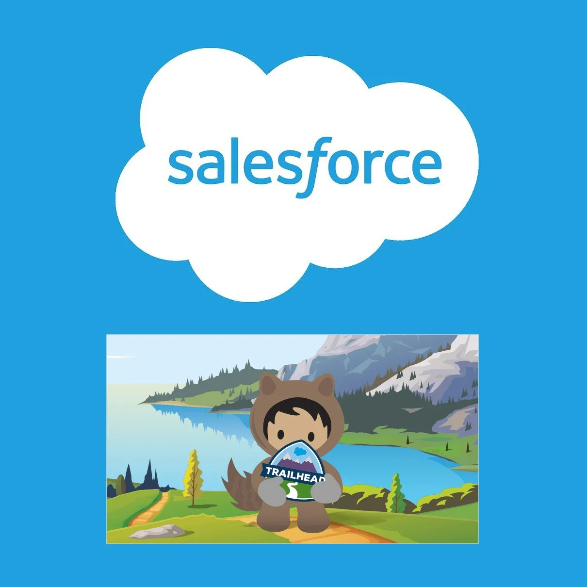 salesforce porfolio square_top-of-page.jpg