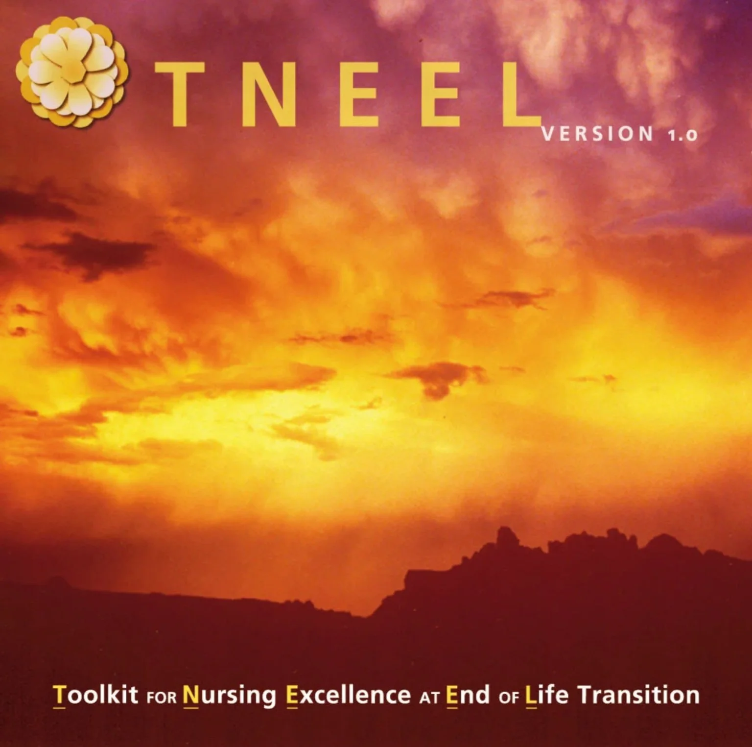 TNEEL Software Branding & User Experience (UX) Design
