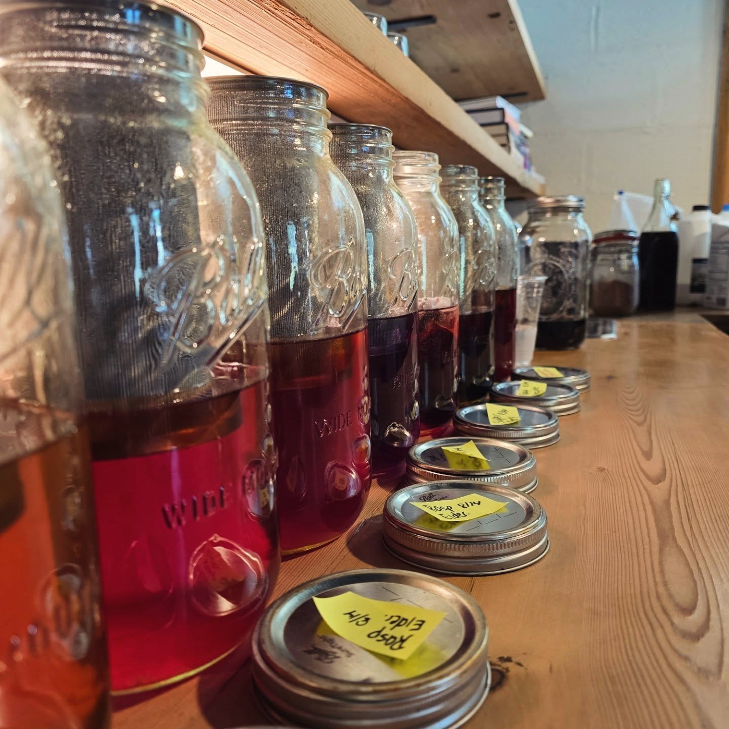 📸 A Glimpse into our Spring/Summer Iced Tea Selection
.
From the Lab this week we have four Single Origins!
- Tanzania | Notes: Cranberry, Orange, Black Tea
- Mexico | Notes: Malty, Cocoa, Vanilla
- Peru | Notes: Plum, Pear, Kiwi (Organic)
- Papua N