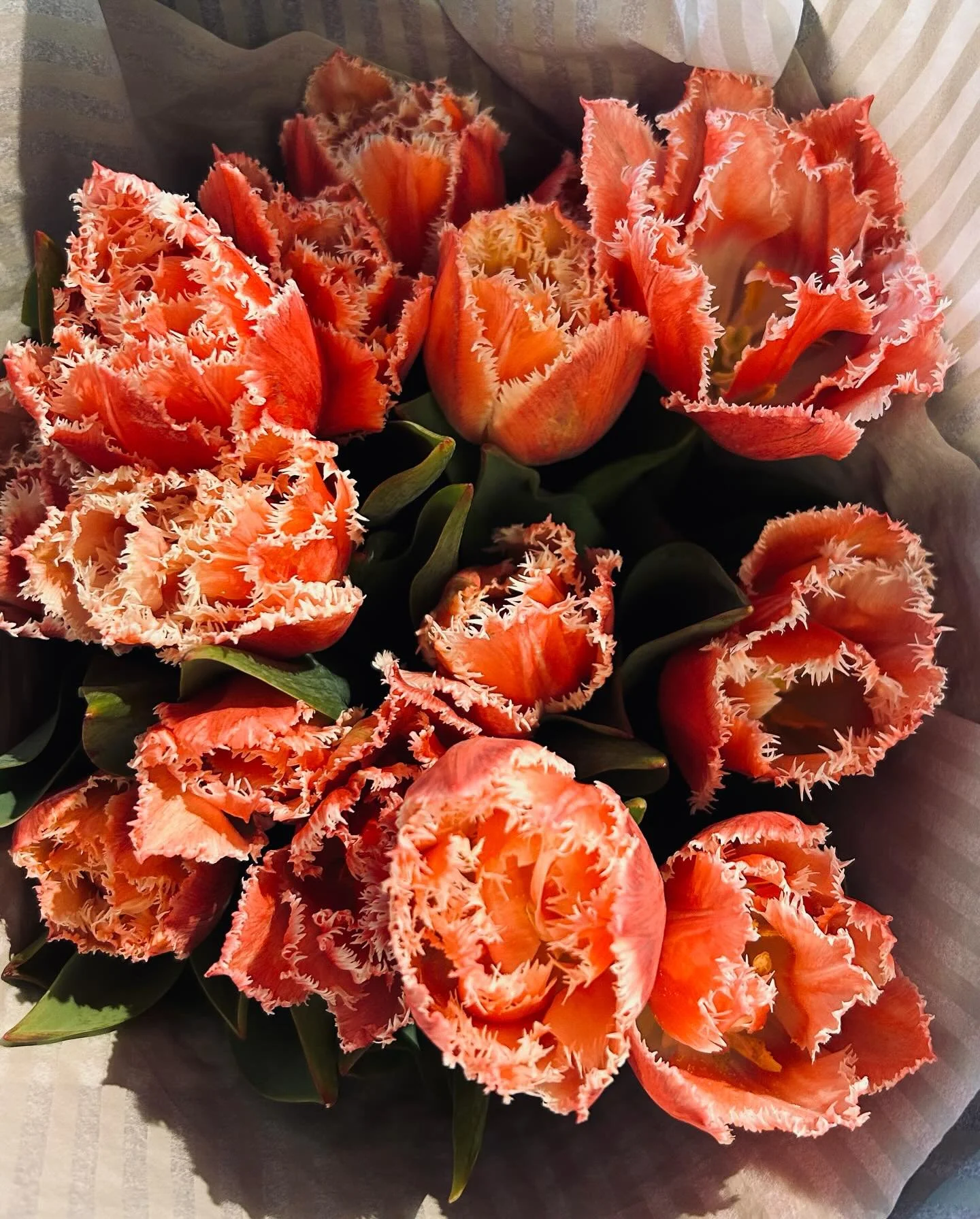 Mother&rsquo;s Day flowers have arrived for the weekend! Stop by and grab a bouquet of these high-quality and locally grown tulips from @helmsteadfarm.
.
Available while supplies last!
.
.
#kraftedbrewlab #mothersday #coffeeroasters #coffeeshop #bant