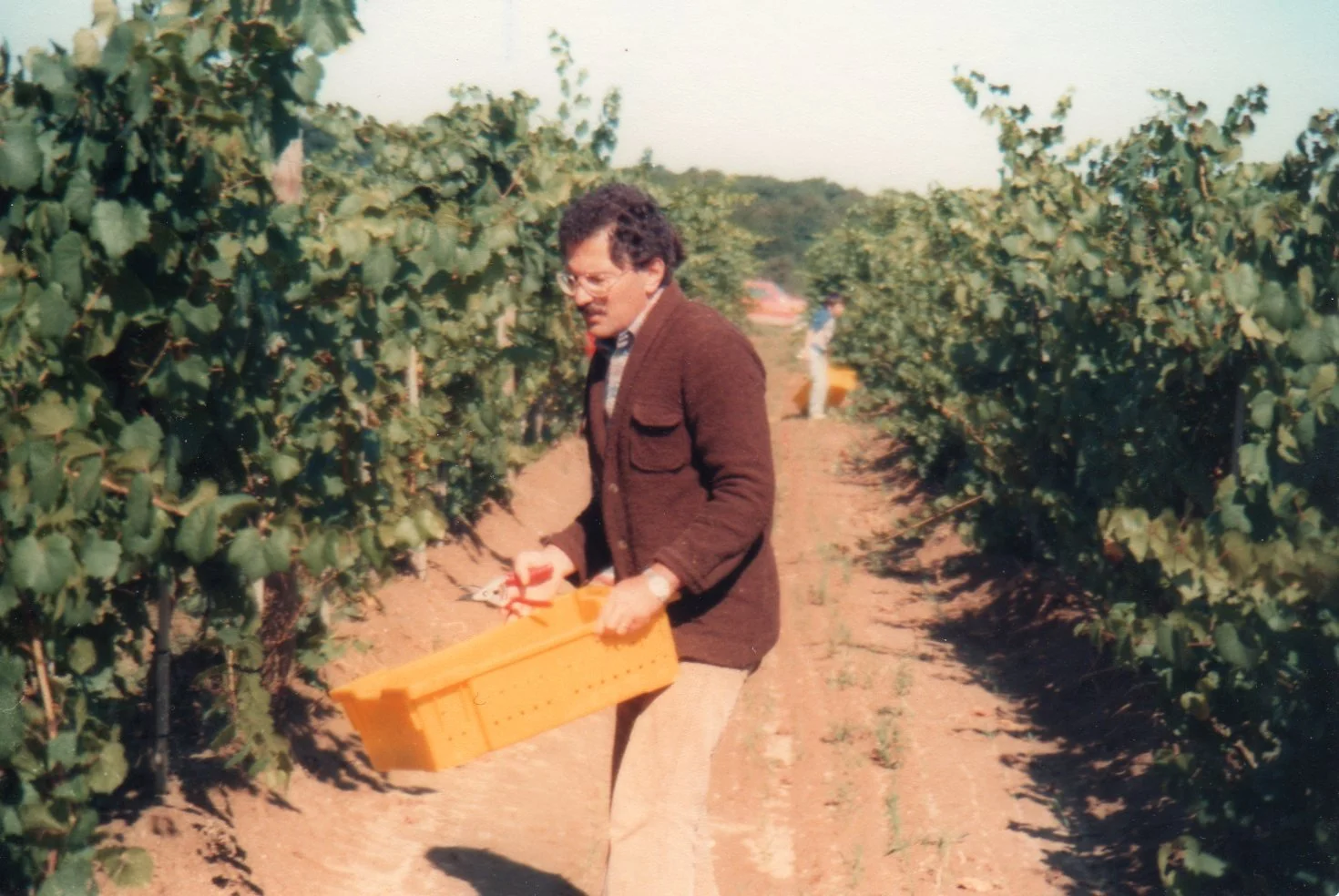 1995 Grand Vintage Dinner 