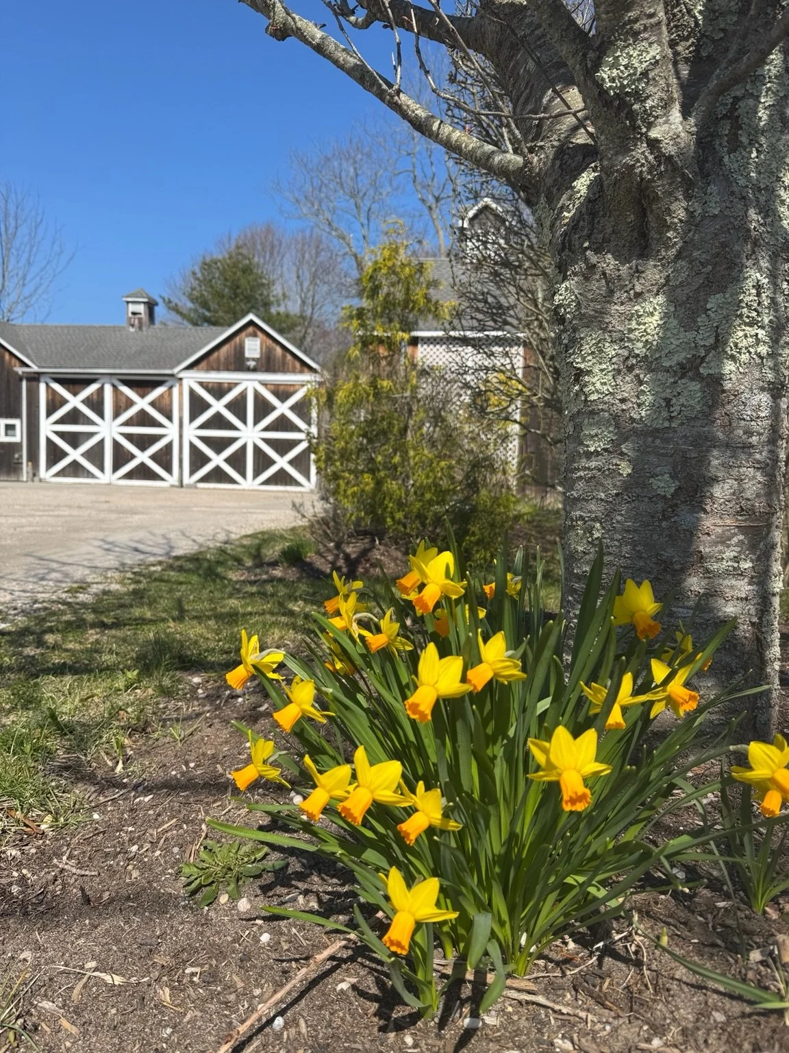 Spring is just beginning at Paumanok. Visit us this week for a glass, a flight, seasonal plates, and the newly released 2025 whites&mdash;fresh, bright, and delicious!