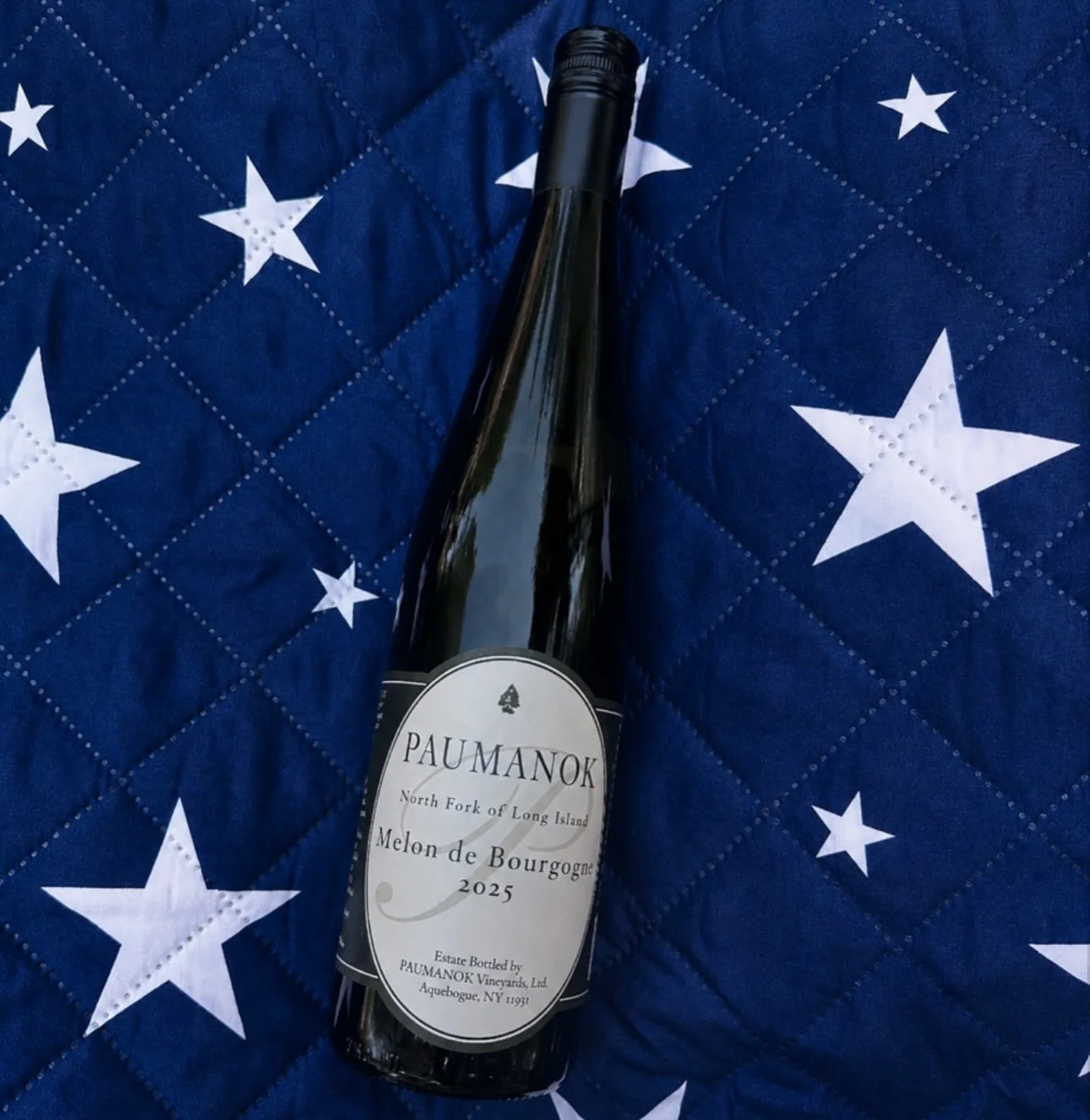 Introducing our very first Melon de Bourgogne, crafted from vines planted in 2020 and inspired by the coastal wines of France&rsquo;s Loire Valley. Crisp, mineral driven, and citrusy, made for oysters, sea breezes, and long weekends at the vineyard.
