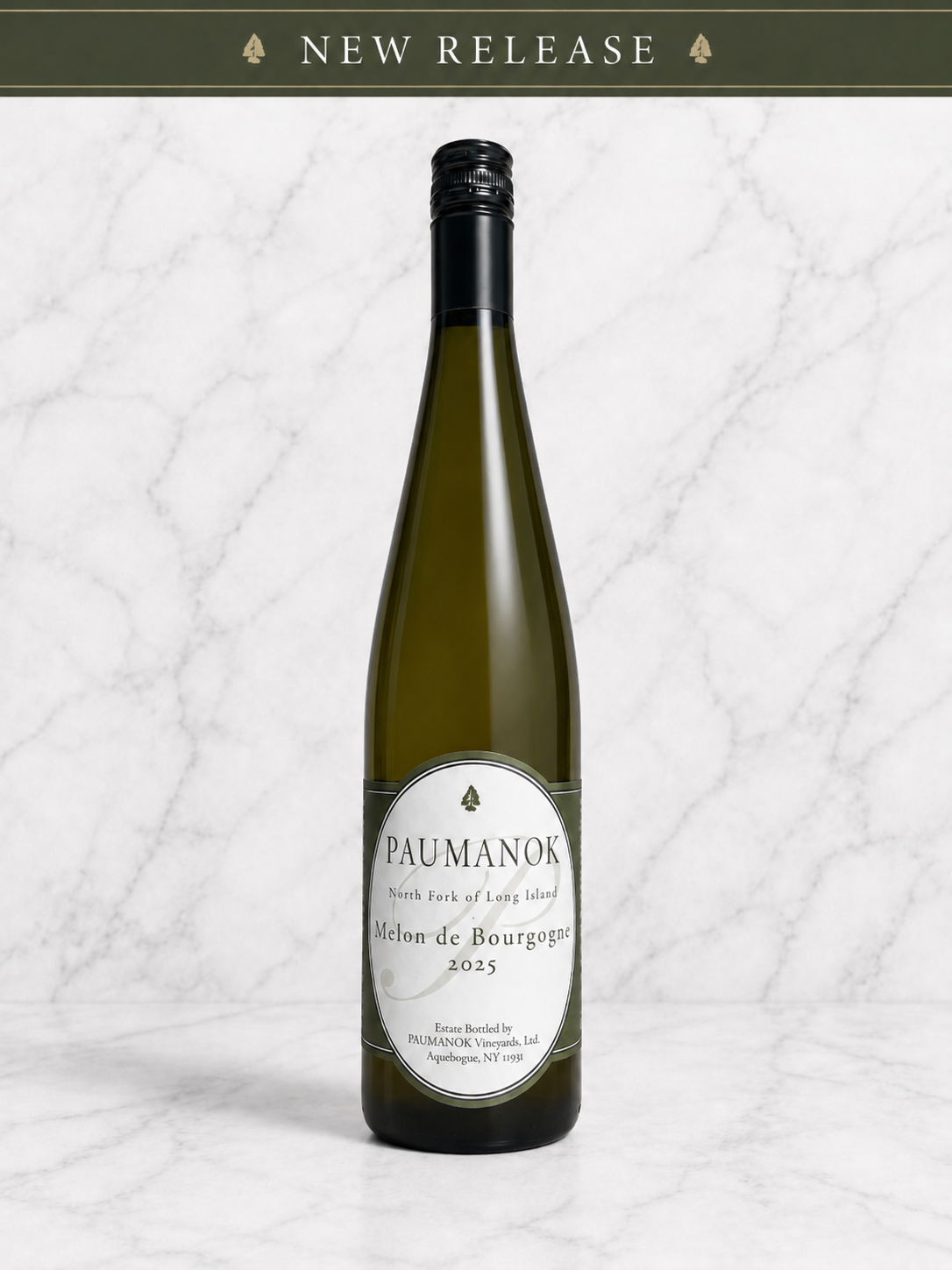 Melon de Bourgogne 2025