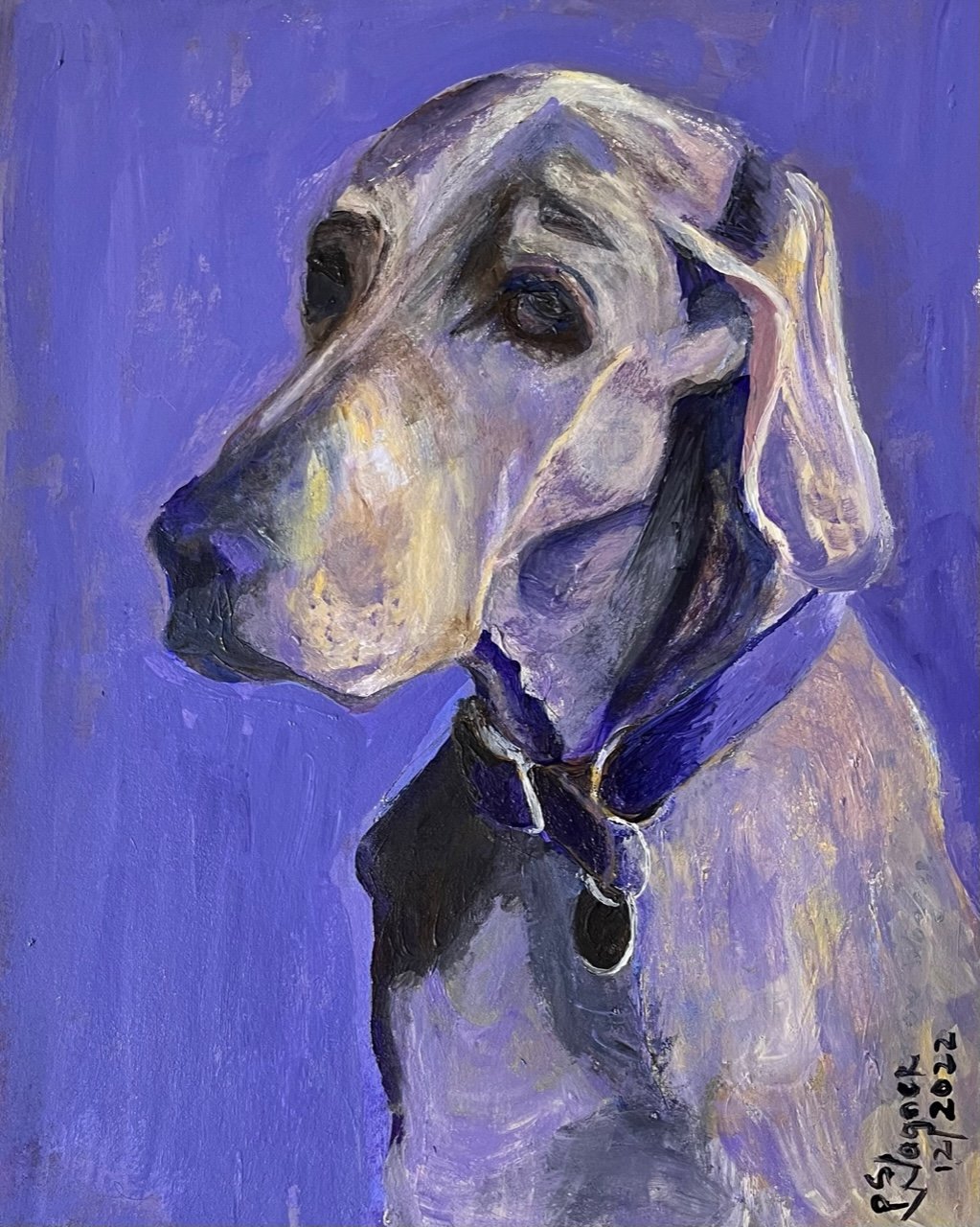 Commissioned Pet Portrait