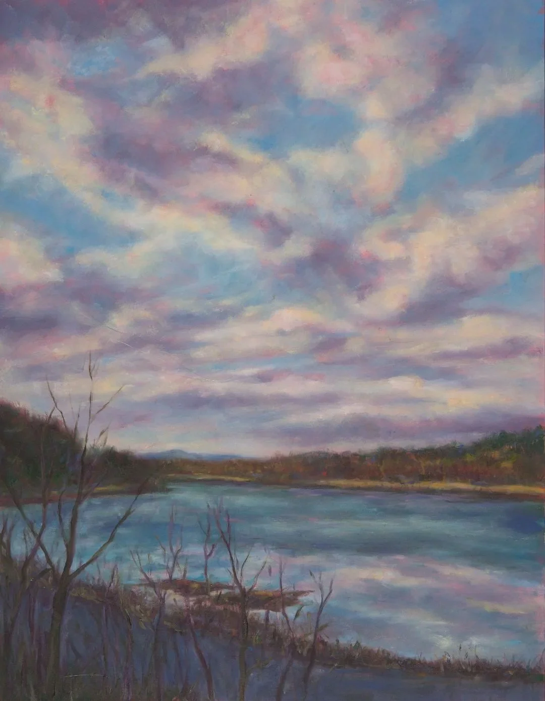 Lesley Heathcote