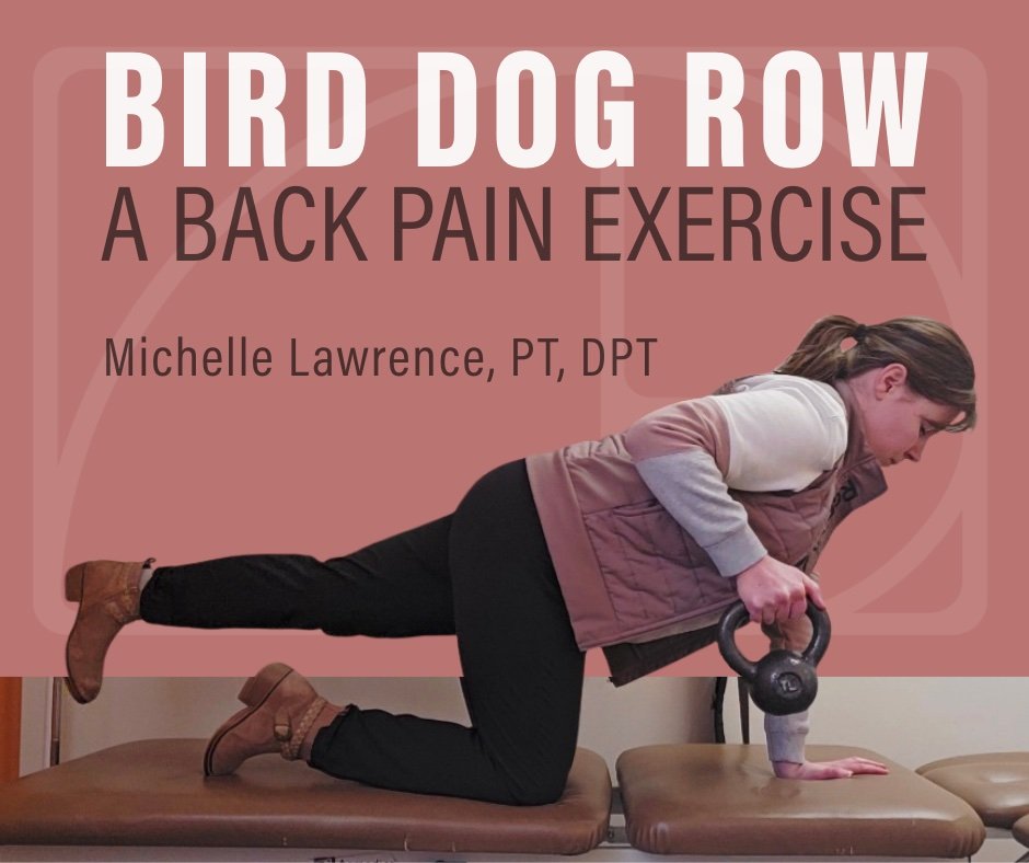 Let's practice the Bird Dog Row with Michelle Lawrence, PT, DPT. This move is a great way to build strength without overloading your spine.

It also activates your deep core muscles, strengthens upper back &amp; shoulders, improves spinal stability, 