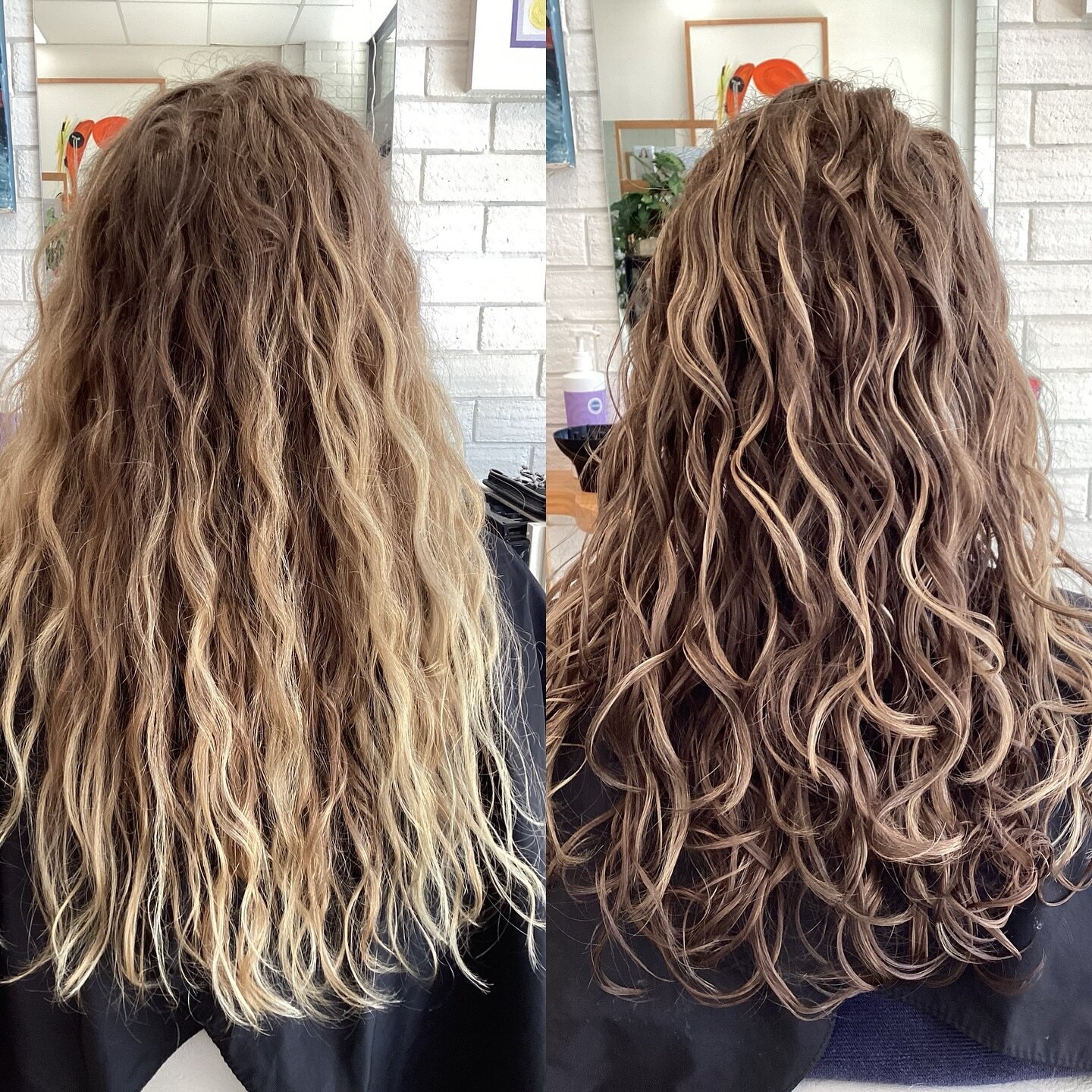 From solid blocky blonde to natural blended colour and hydrated curls 💖🤩
&bull;
@clever_curl #clevercurl 
@dnaorganics #dnaorganics 
&bull;
#blossomorganichair #ammoniafreecolour #veganhaircolour #hairsalonforster #naturalcolour #foils #crueltyfree