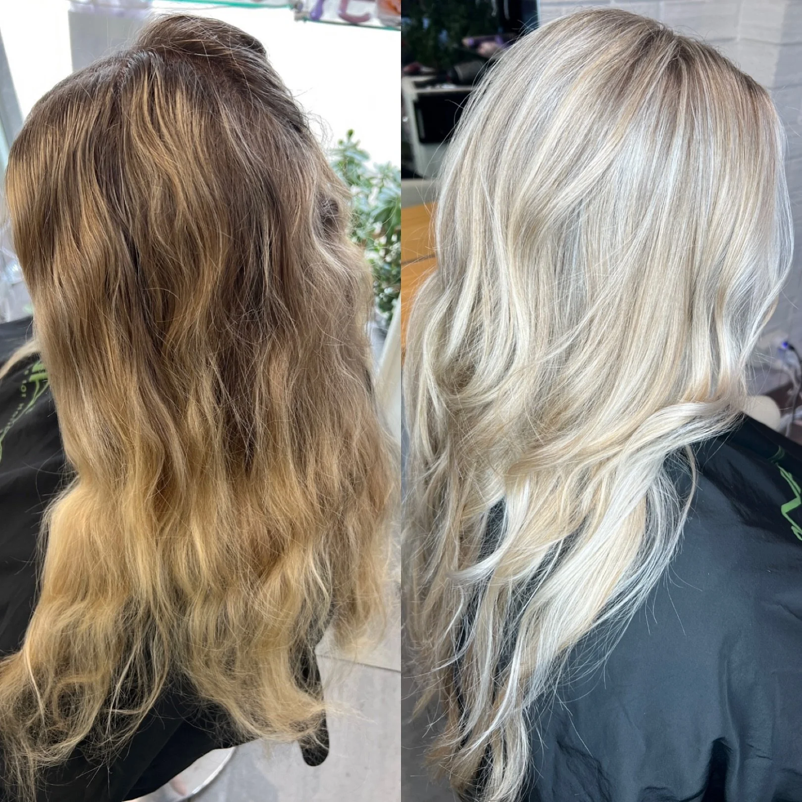 Grown out &amp; dull to Icy bright blonde 🤩💜

@dnaorganics #dnaorganics
@everescents_organic_haircare #everescents 
#blossomorganichair #healthyhair #blondehair #foils #ammoniafreecolour #organiccolour #hairtransformation
#brightblonde #colourtrans