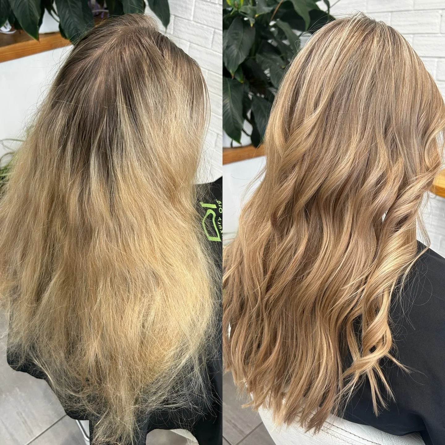 From grown out to a soft natural blonde 🤩✨
~
@dnaorganics #dnaorganics 
~
#foils #naturalblonde #organichaircolour #hairsalonforster