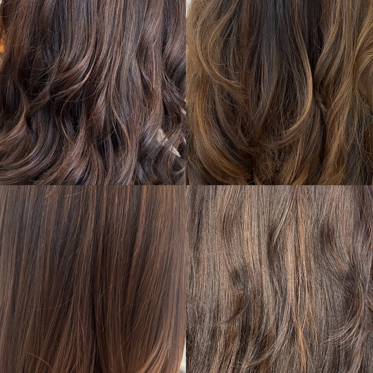 Different shades &amp; tones of brunette, perfect for winter! ✨🤎
-
@dnaorganics #dnaorganics 
#everescentsorganichaircare #brunette #dimensionalcolour #organiccolour