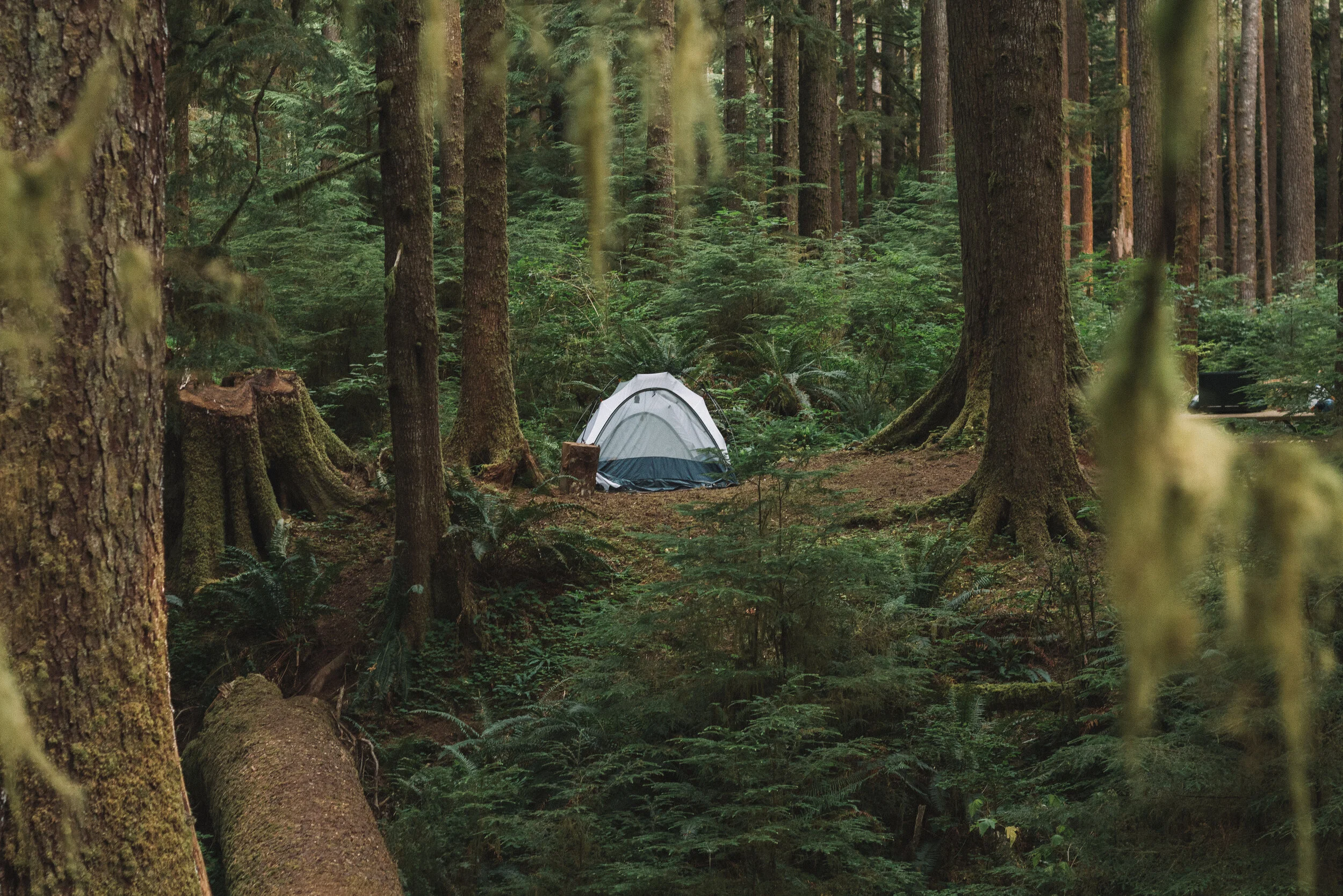Washington