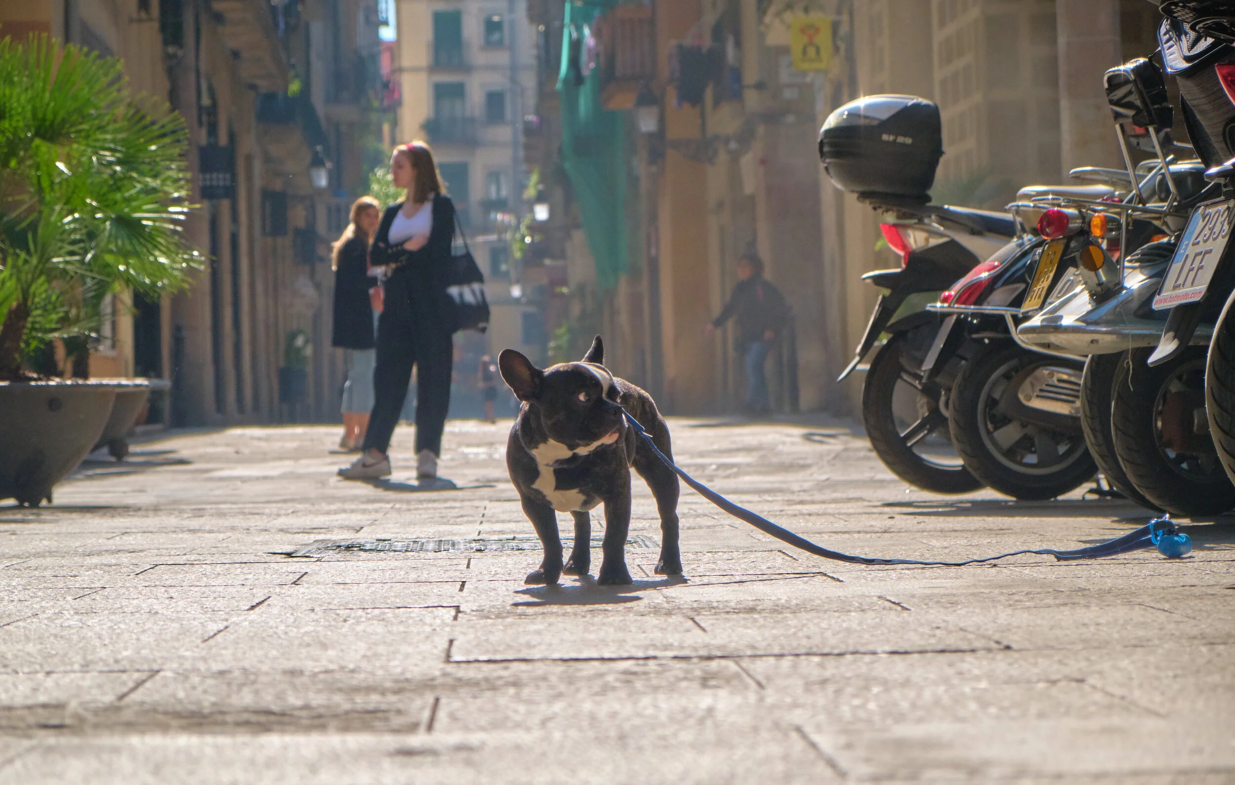 DSCF6426 1.jpg