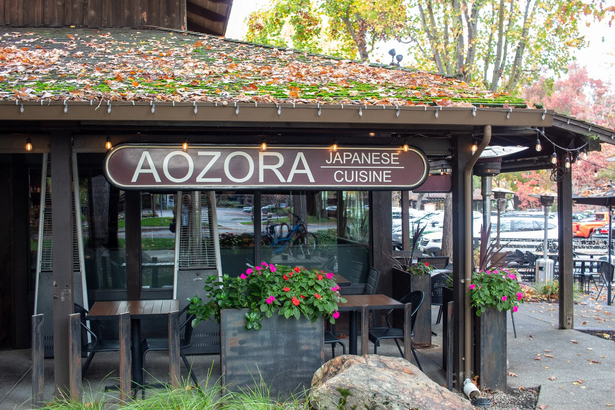 Aozora Outside Fall 2.jpg