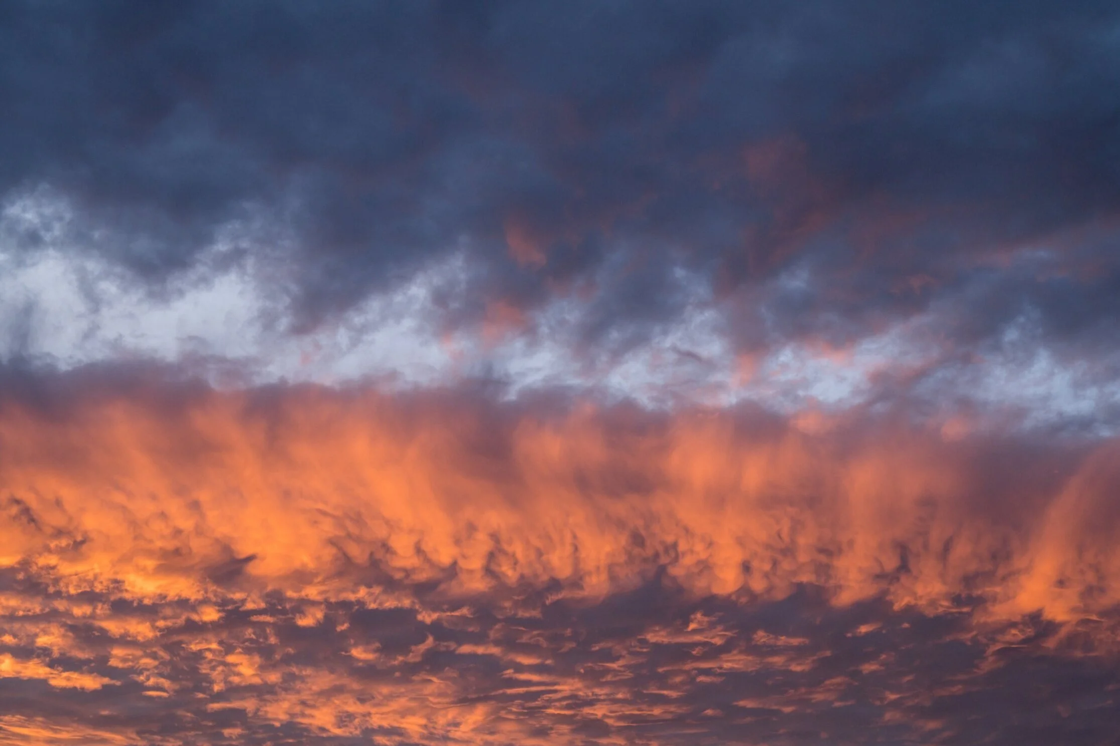 Consultants: Savior or Satan?