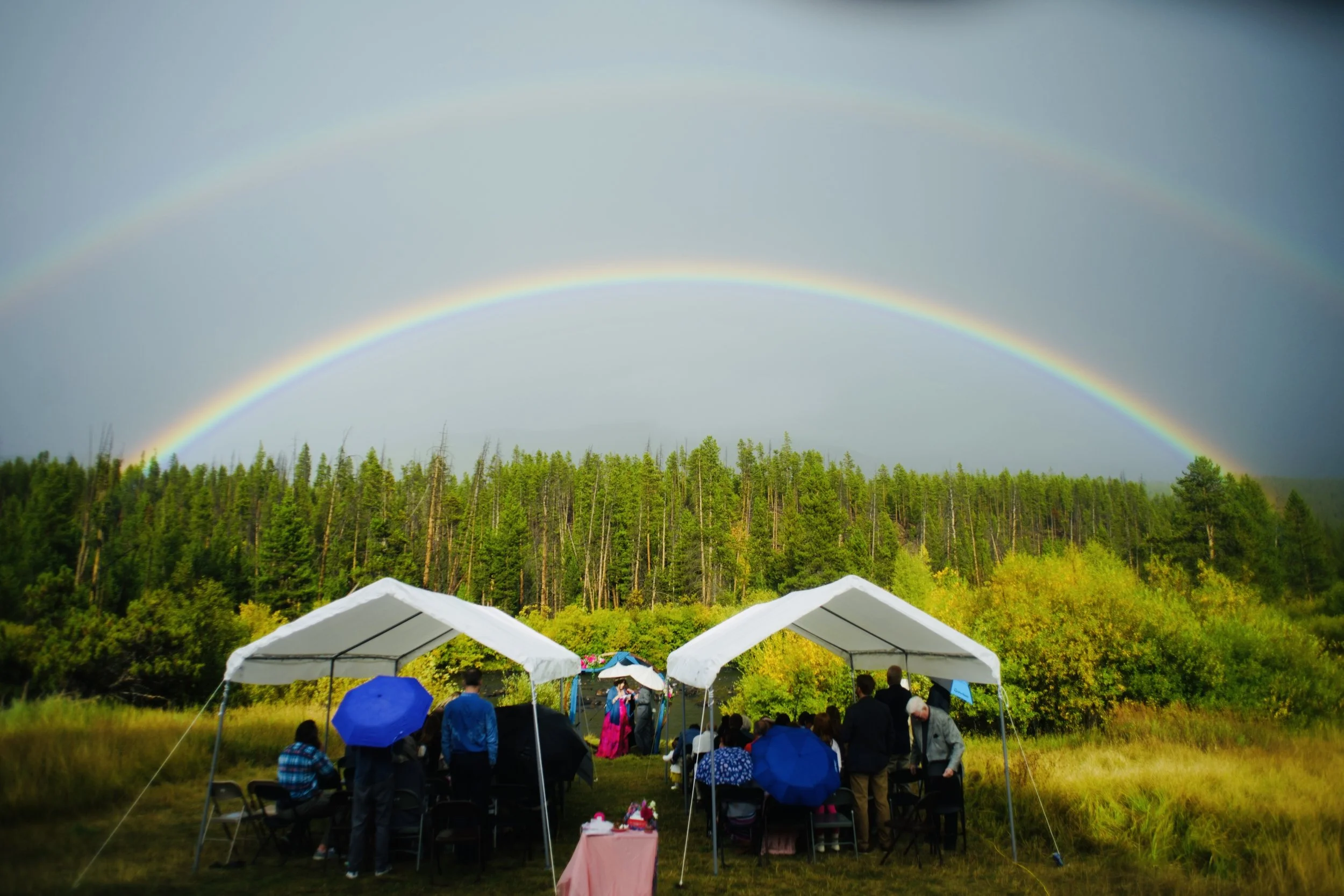 double rainbow for Leslie &amp; Nick - no visible flowers but it was magic