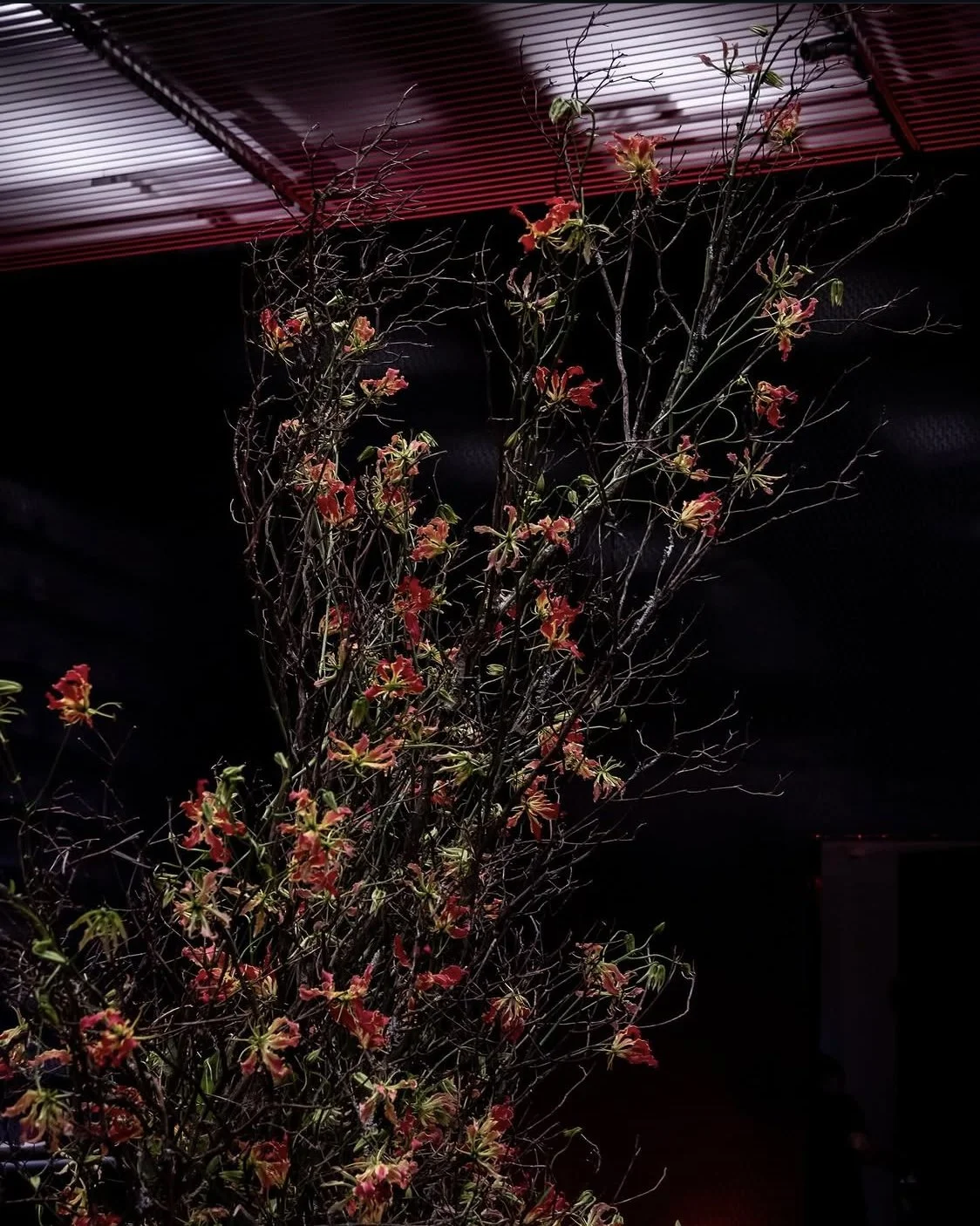 Emily Thompson Flowers for Ferrari - NYC