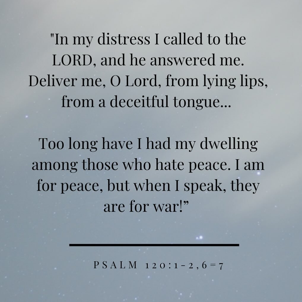 When I work with victims and survivors I love to point them in the direction of the Psalms. Poetry and music have always had a way of capturing the human experience - and the Psalms are no exception. 

In Psalm 120, the psalmist laments dwelling amon