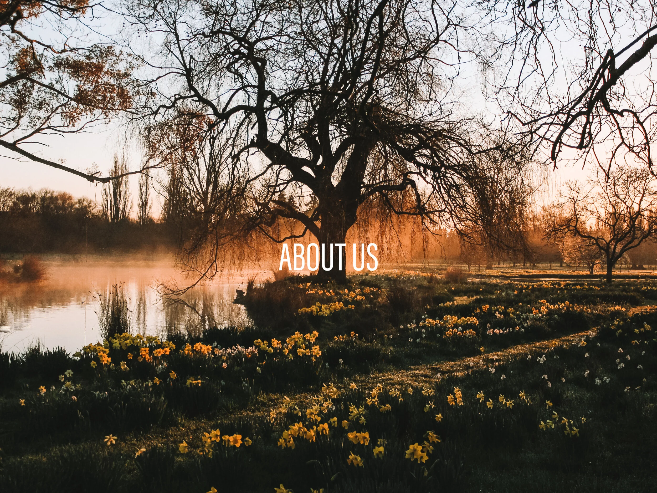 ABOUT US WEB BANNER.jpg