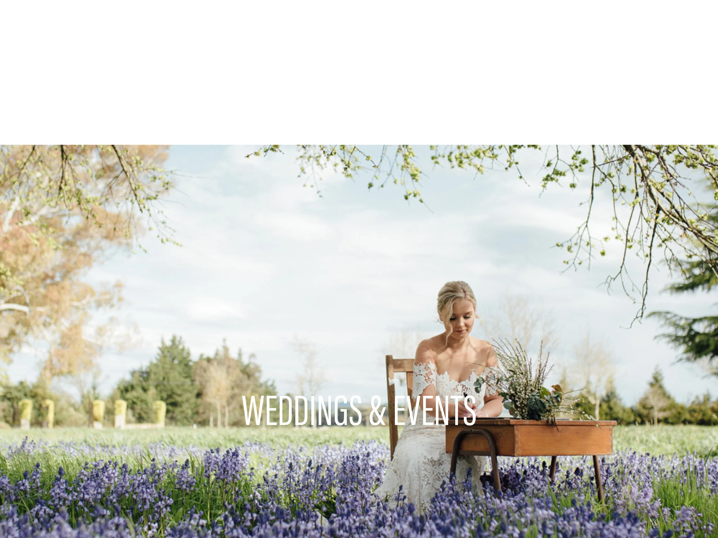 WEDD.jpg