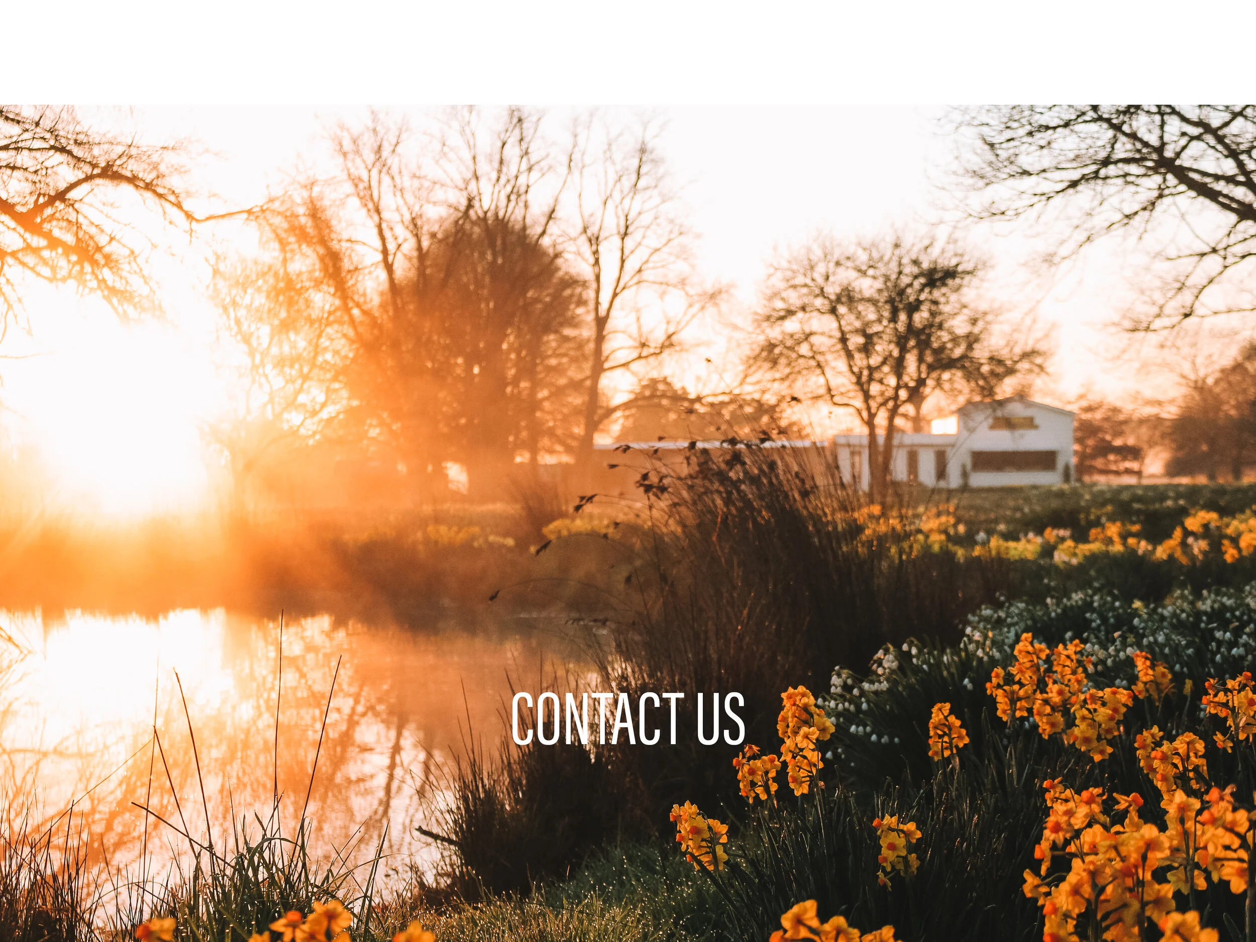 CONTACT.jpg