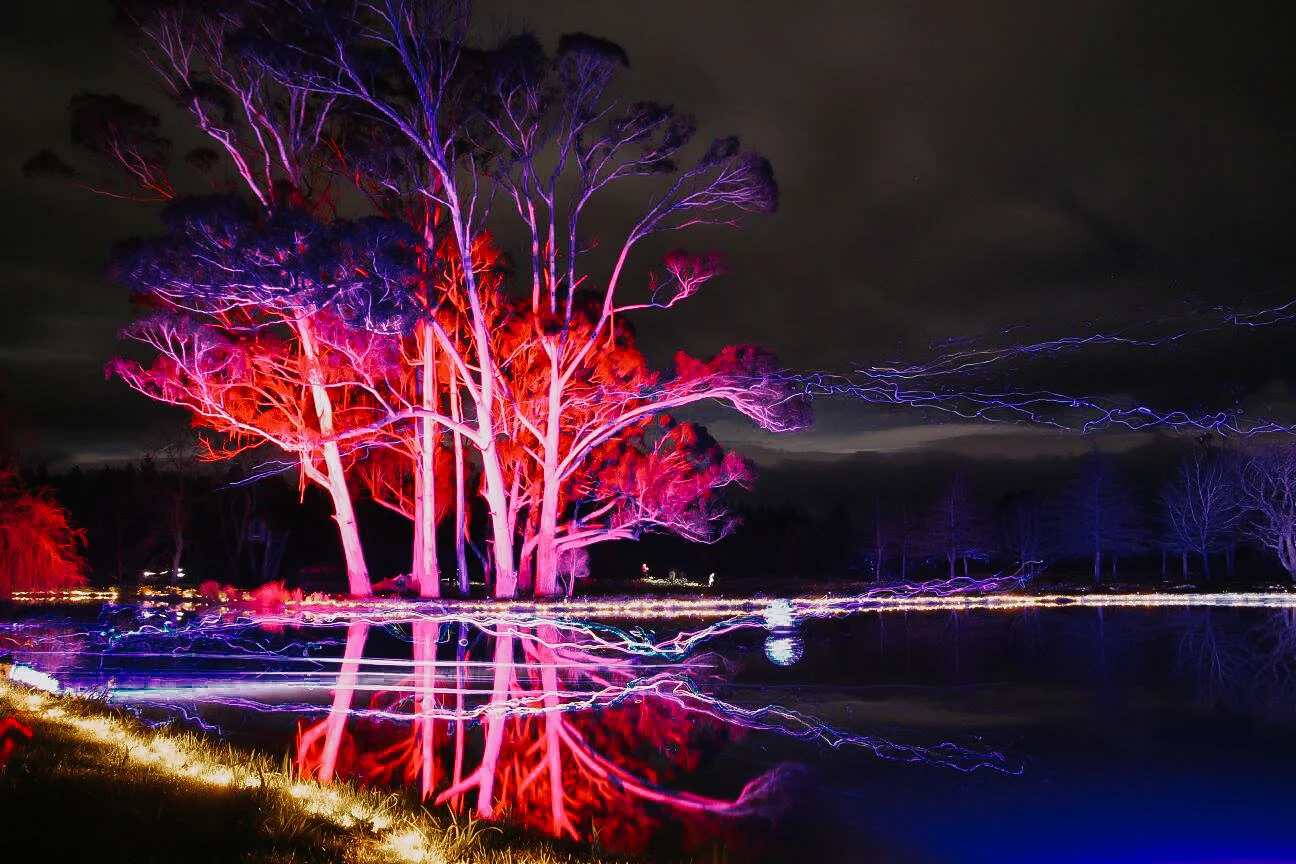 14468216_516567815220691_4600145050429988798_o (1).jpg