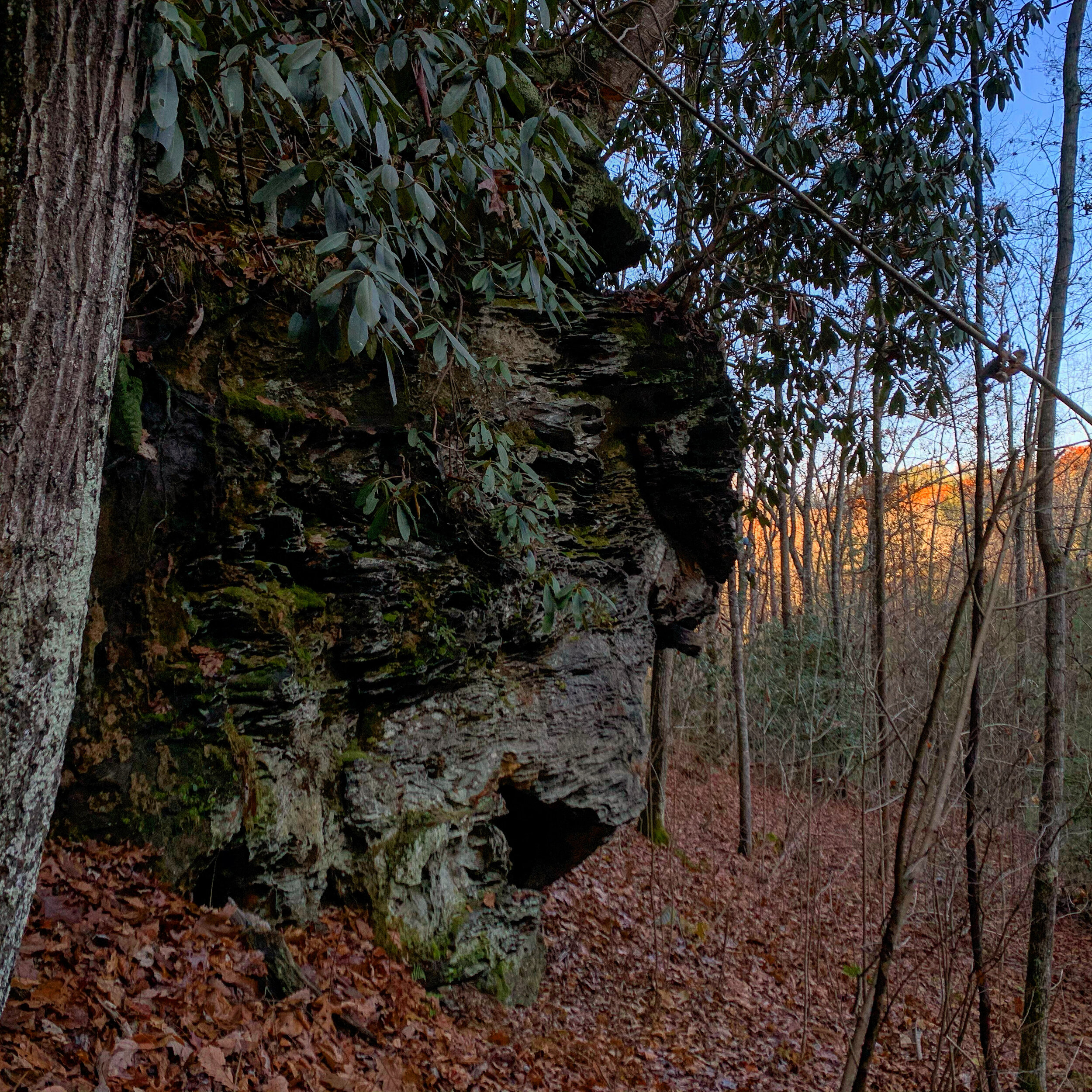 5646FD78-E8C2-41FF-A2D5-C5356C8B988B.jpg