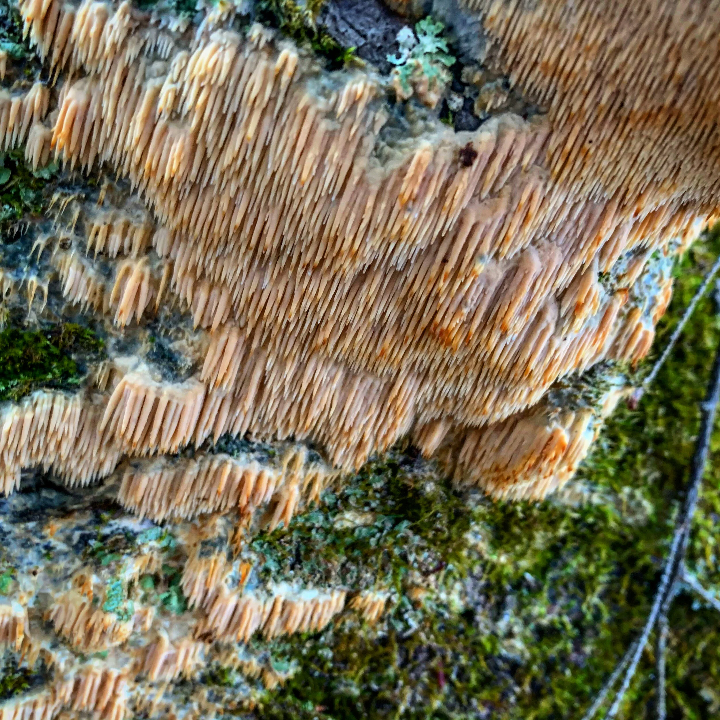 5C121322-761E-407D-95C7-85D40B1A92F5.jpg
