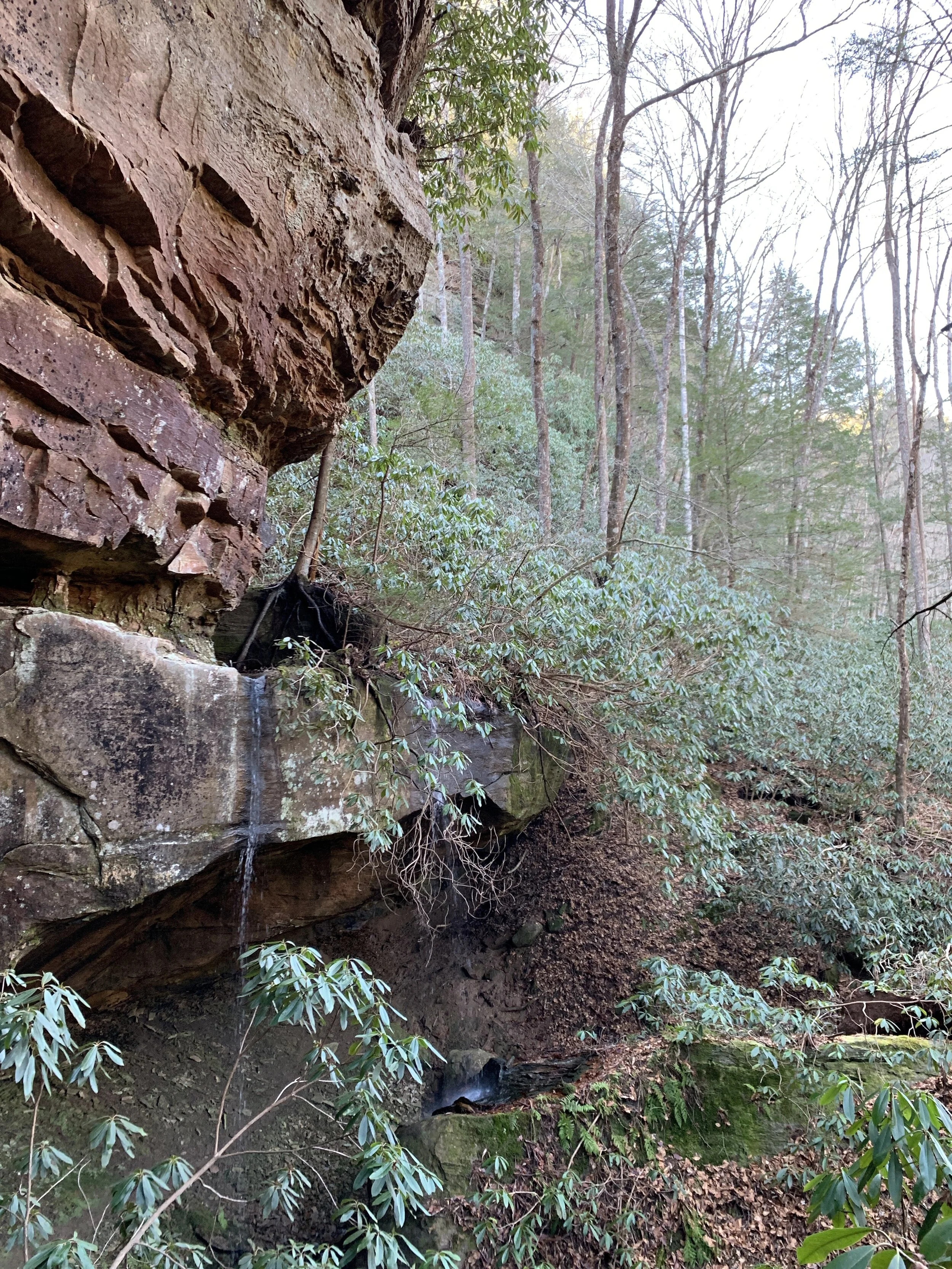 DJI_20200101_144143_803.jpg