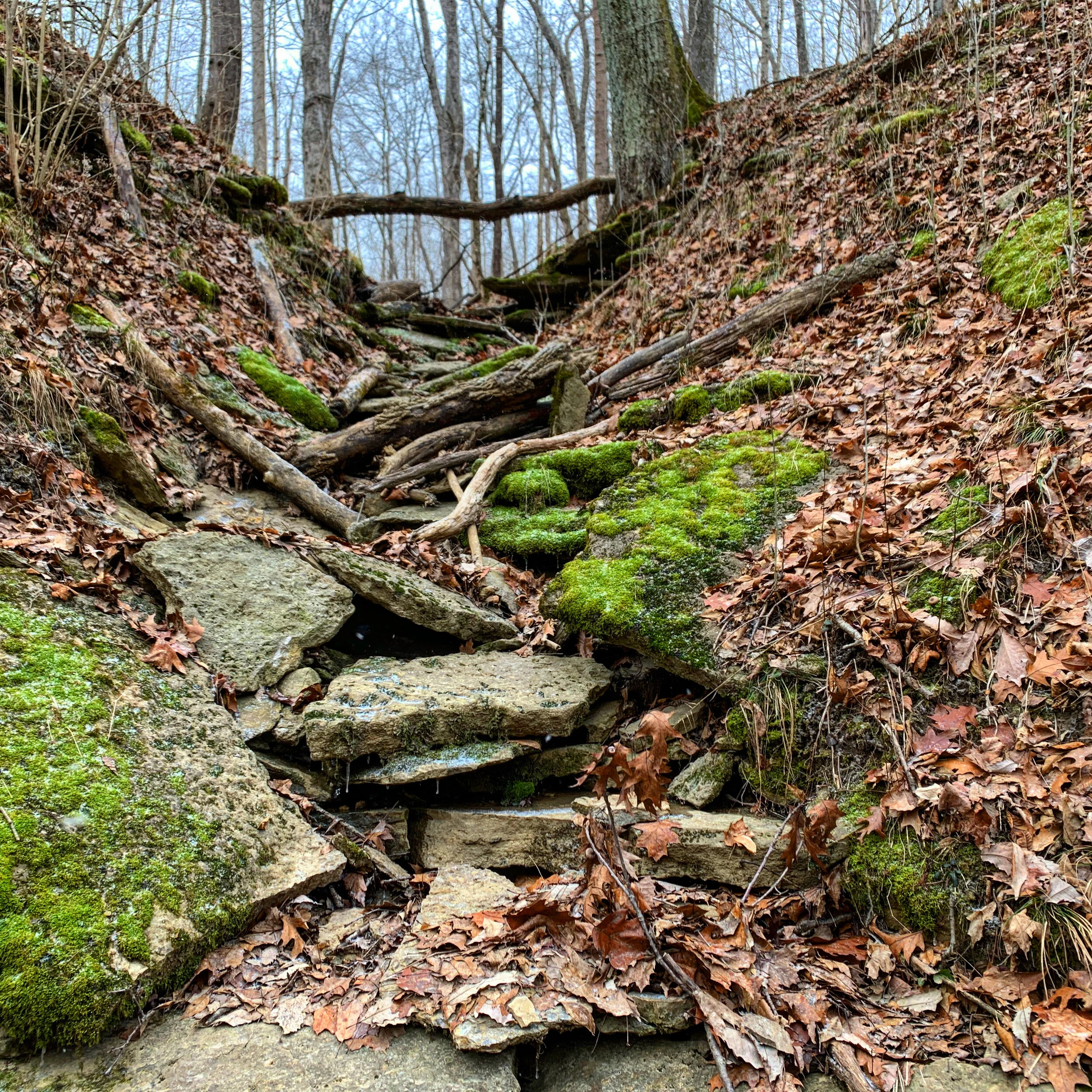 921736B0-C8FF-41F3-A7D8-5672BEBC73D5.jpg