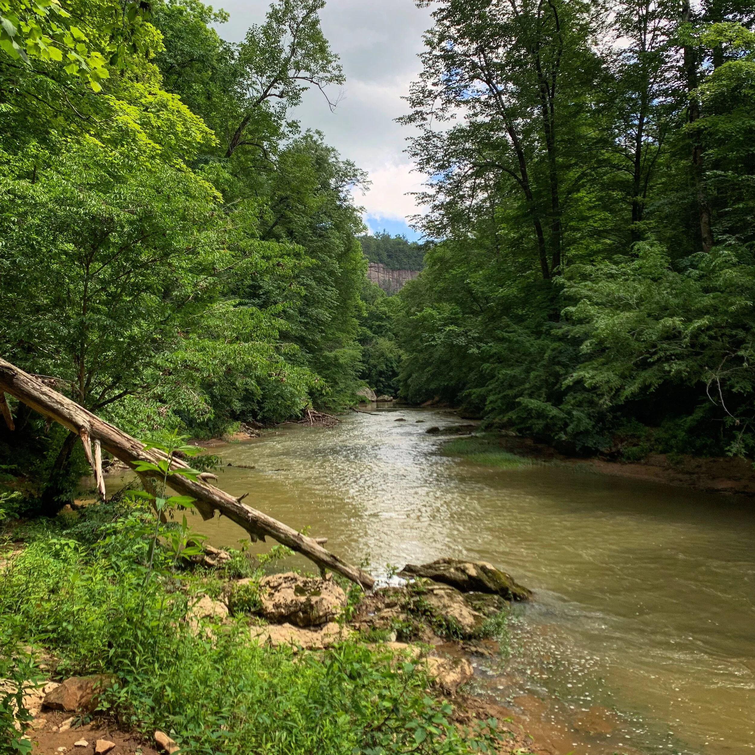 75807787-C043-4AA0-B0AE-4F8D9B49CB72.jpg