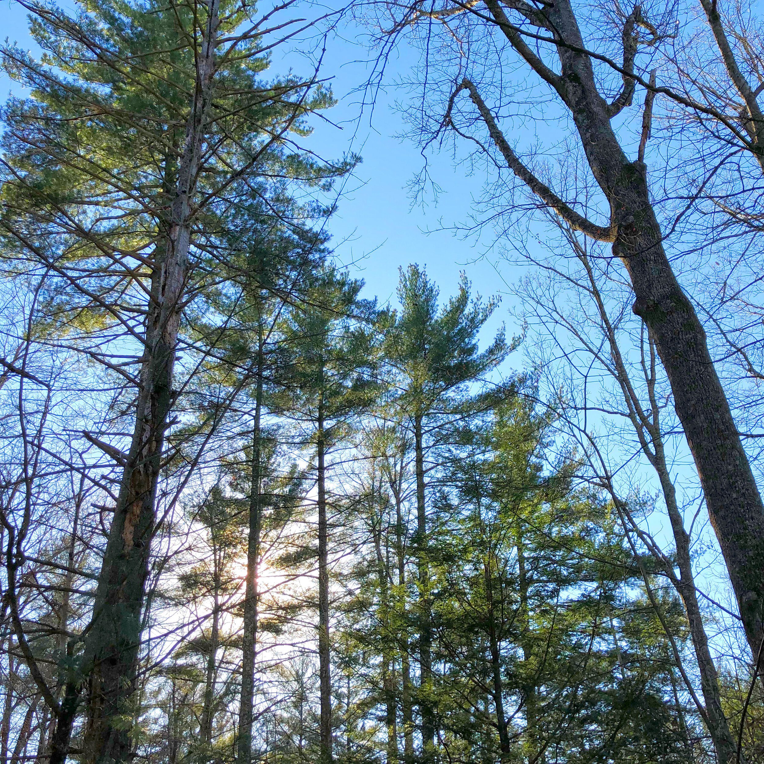IMG_7755.jpg