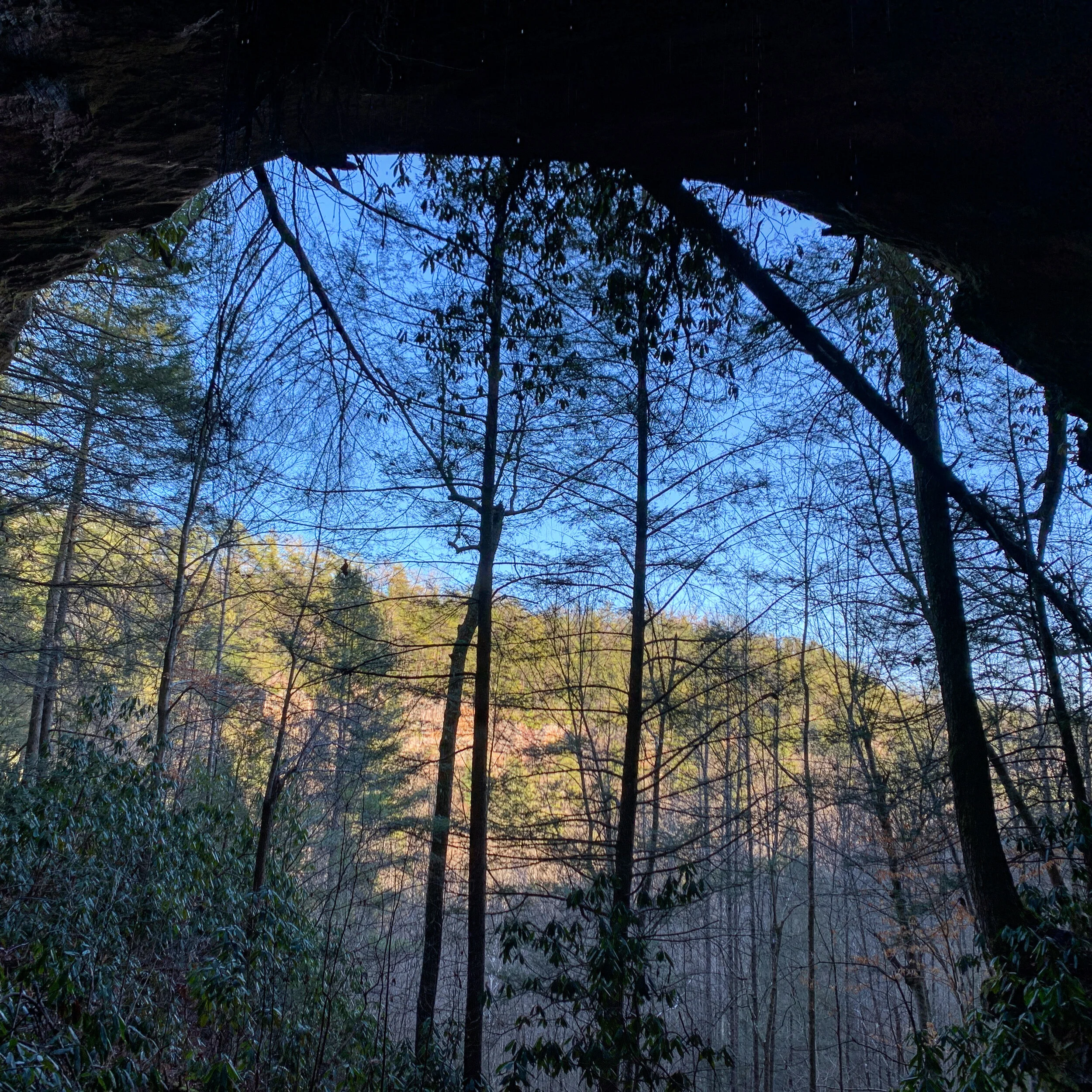 A7955559-830A-4FD3-A5B0-7BF1D1EC4F27.jpg