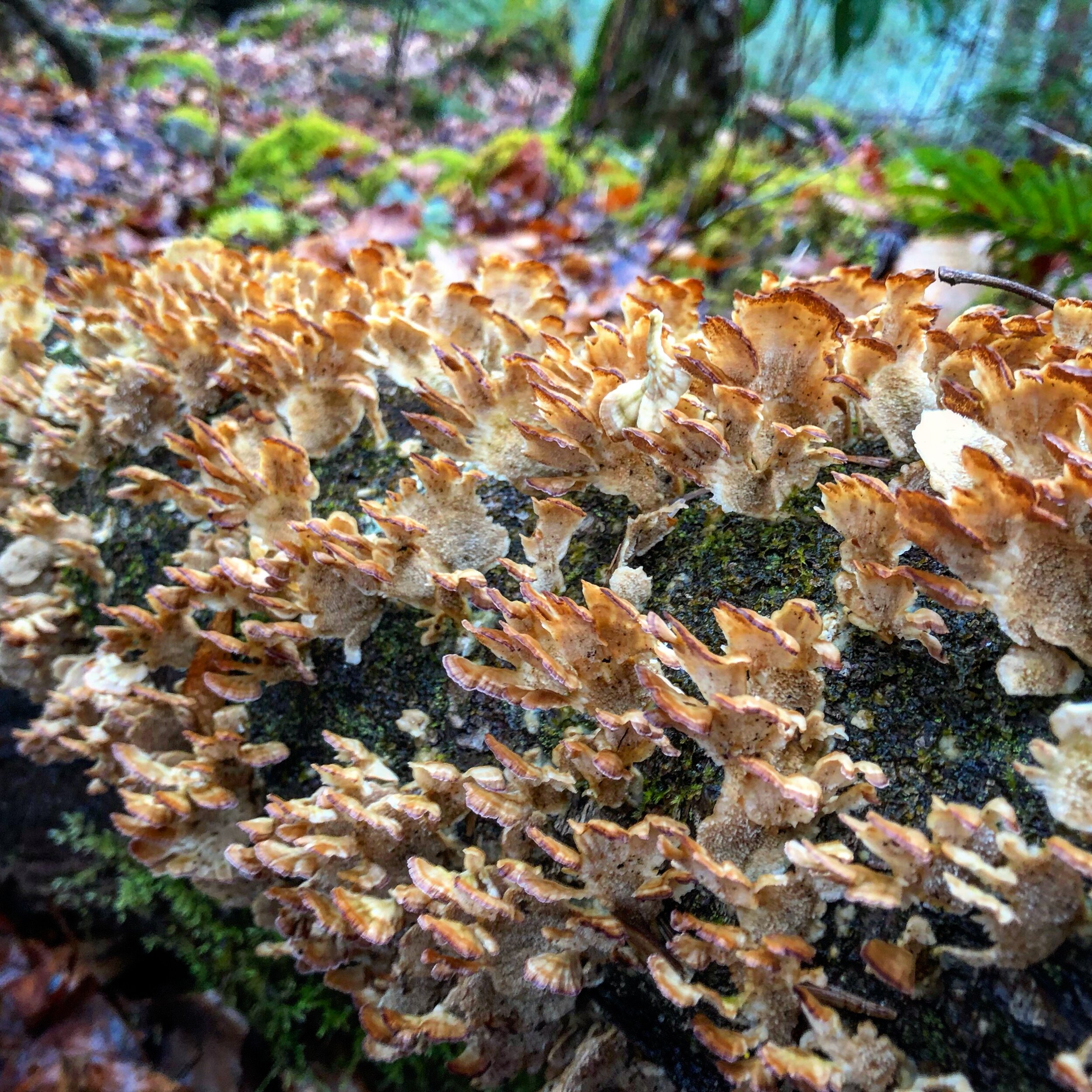 IMG_8944.JPG
