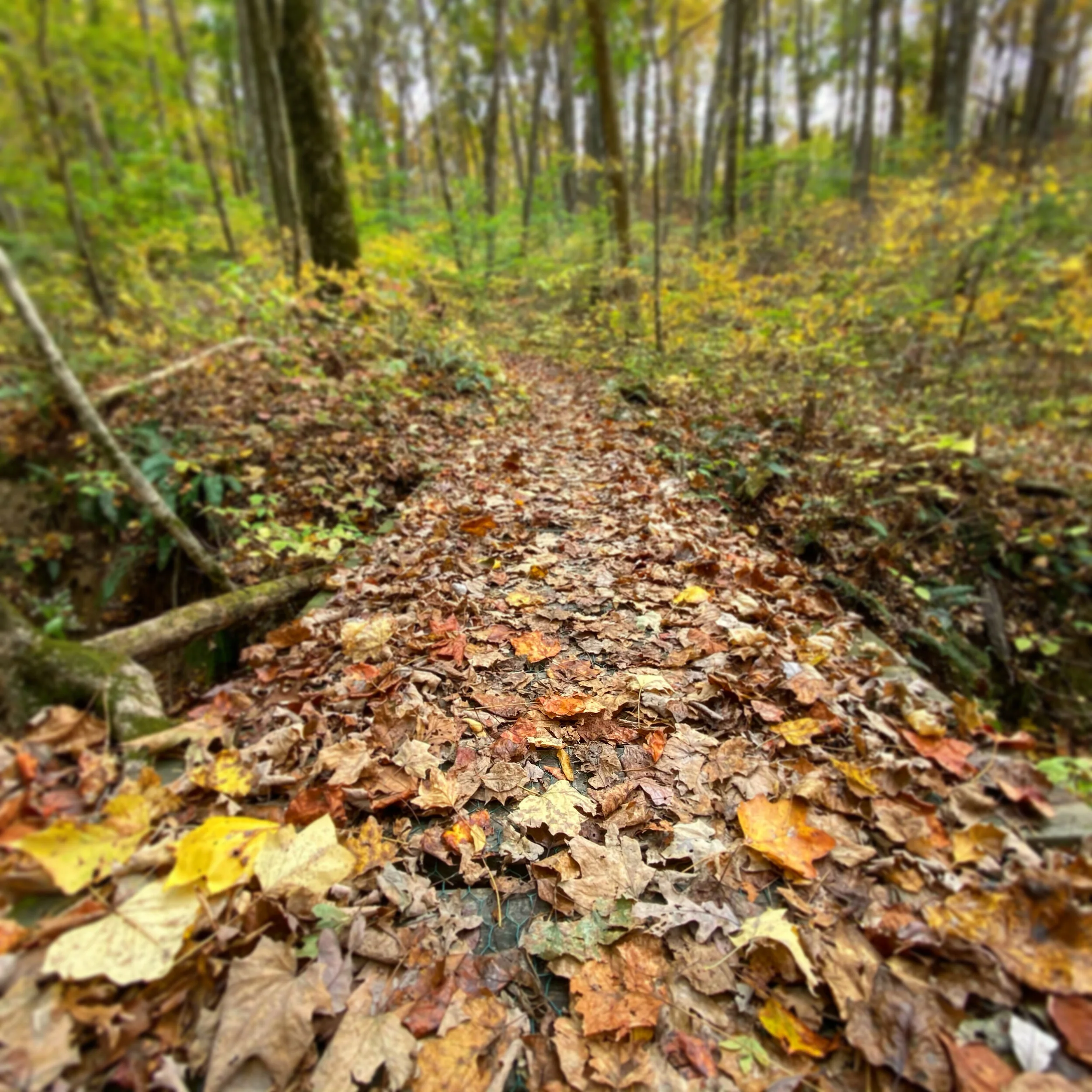 C21AC05F-5A9C-4174-B5A7-5F153329362F.jpg
