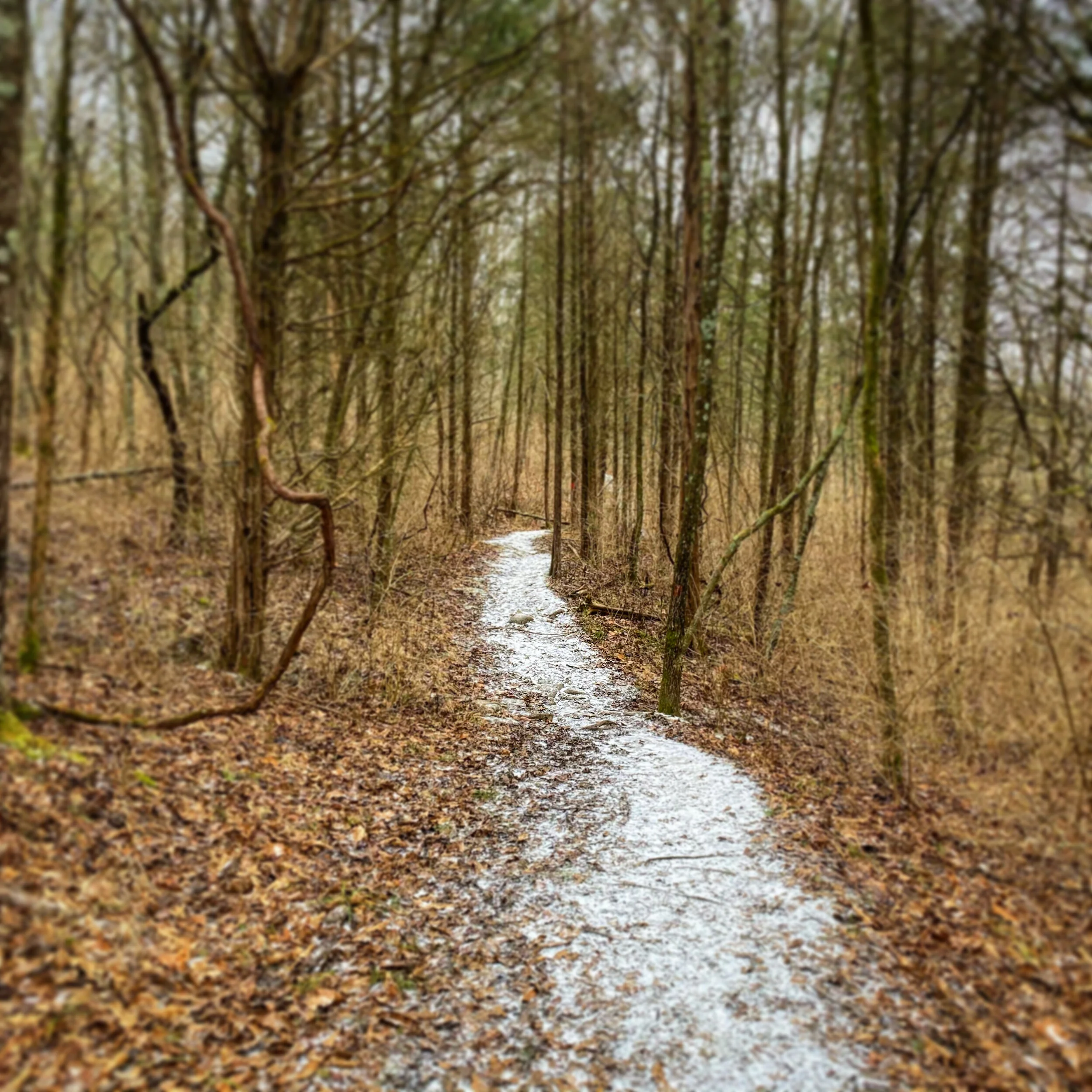 7309D290-2106-43C9-B375-0A65C3A66DE4.jpg