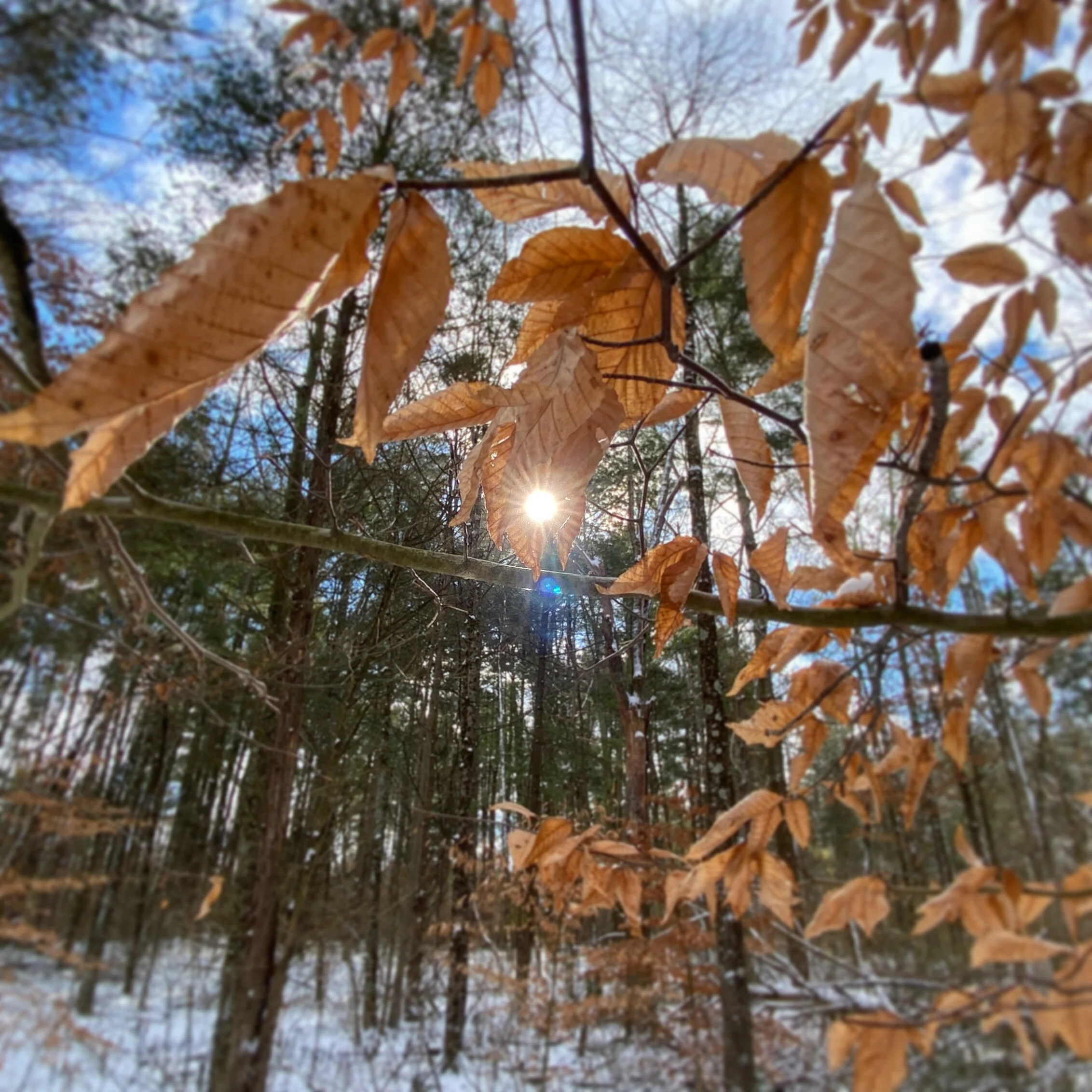 A4591AAC-1944-4519-A8A7-0530AC214F3B.jpg