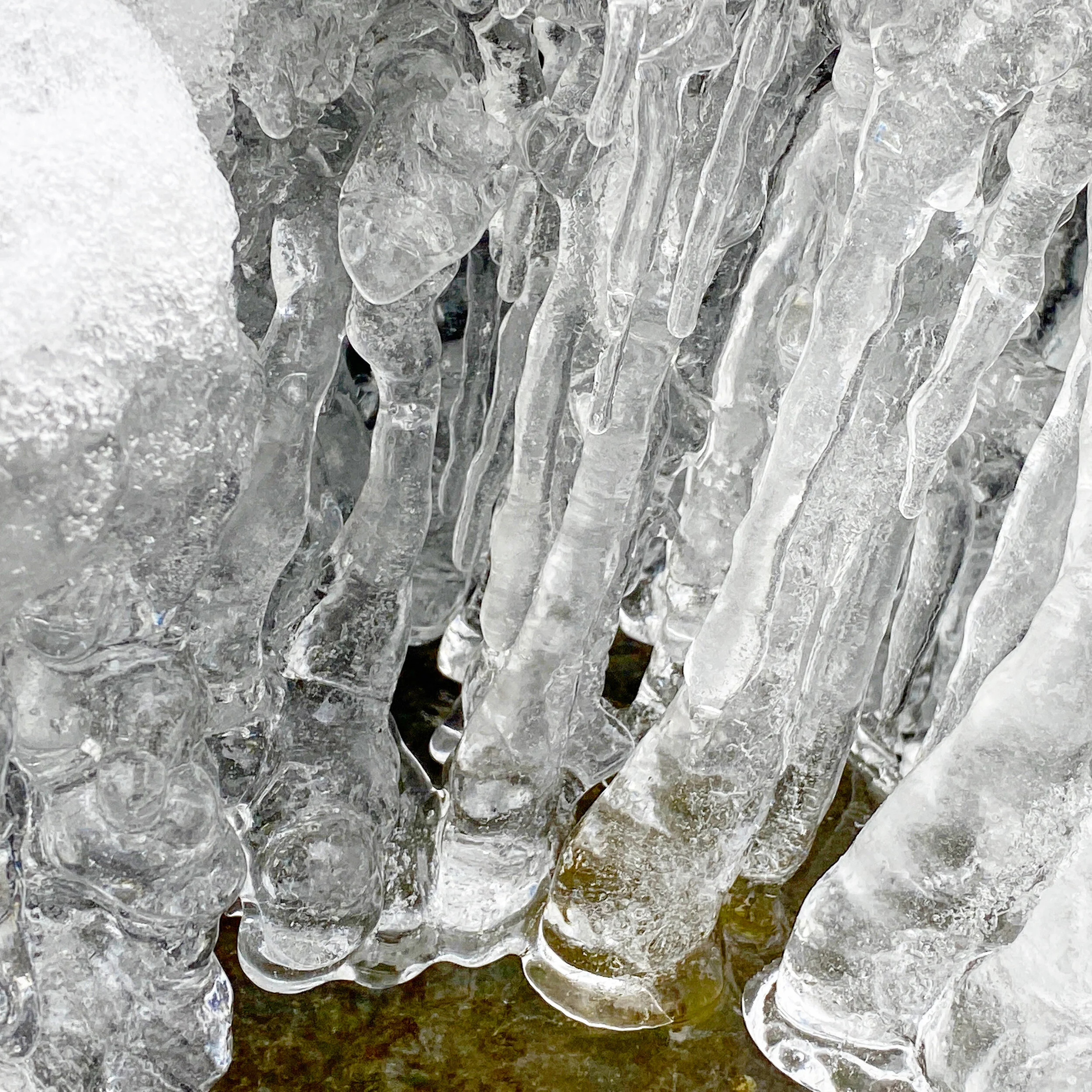 3678E7D3-AFFE-48A9-A750-6818143DEAB2.jpg