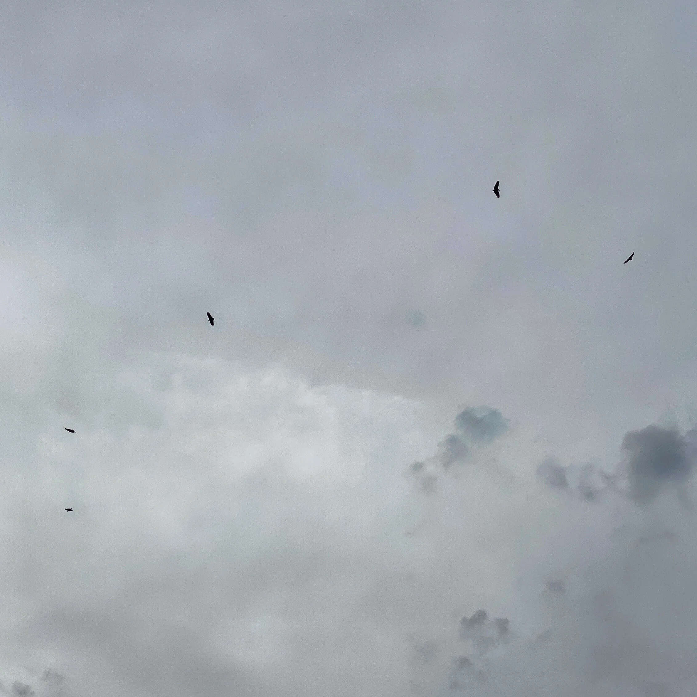 73ADF181-49F1-413A-AC36-3B06FAF7C353.jpg