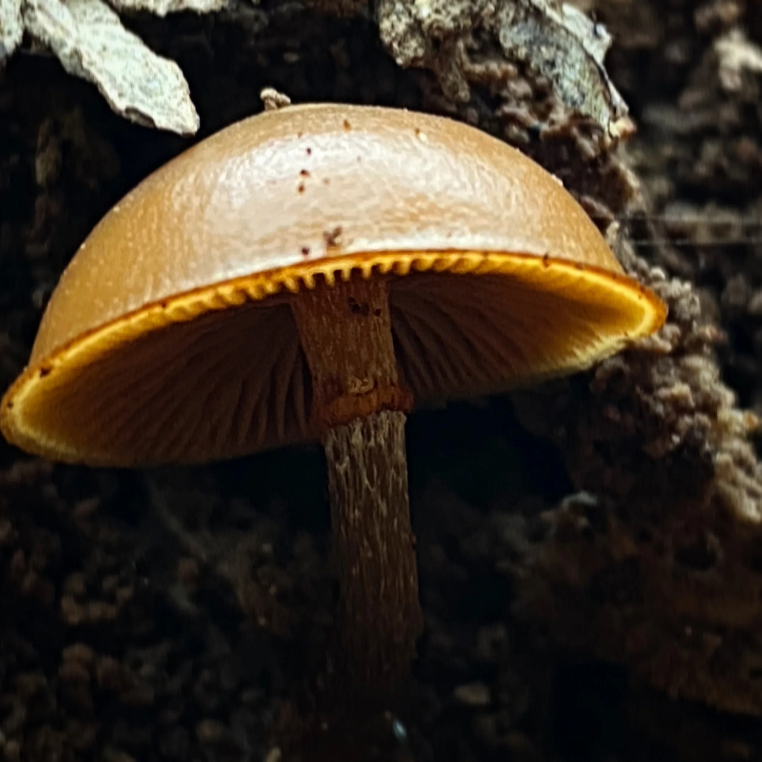 9545A60D-333A-419D-9689-04B85D208803.jpg