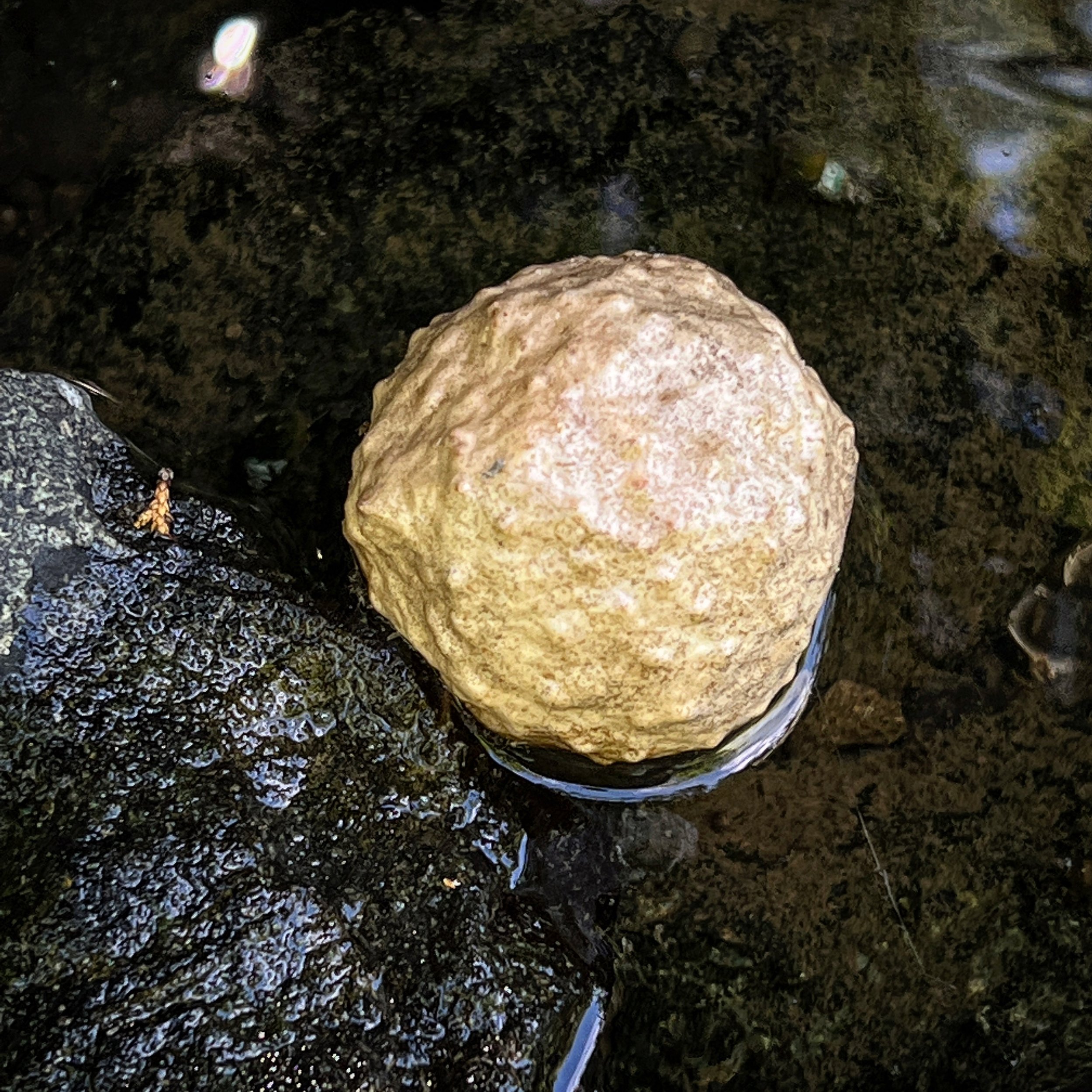 D3419BF7-223E-46F5-B5FC-C44FE3945E1F.jpg