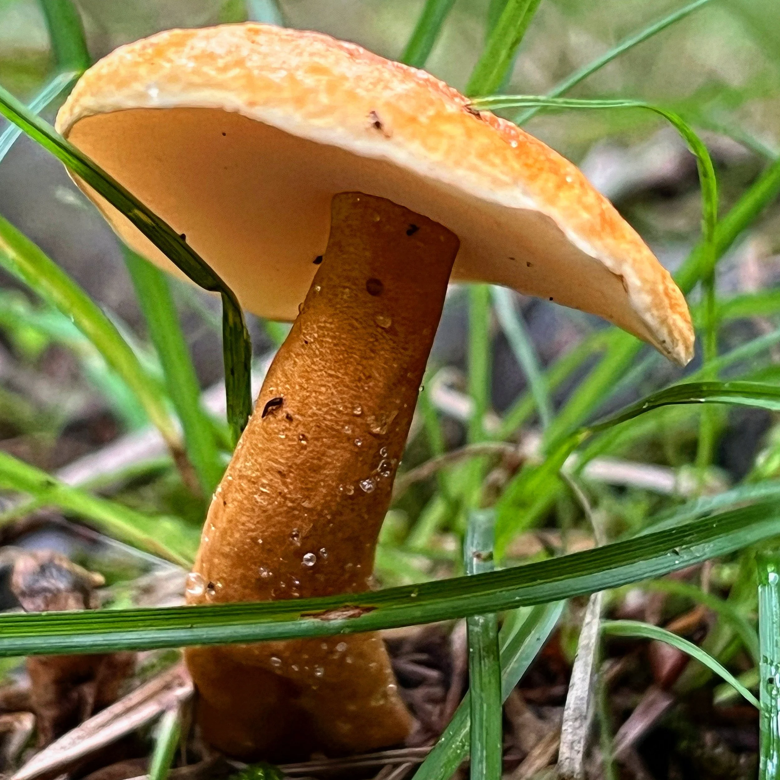 B037534A-5C9A-45F9-9FB0-7D924BCCB654.jpg