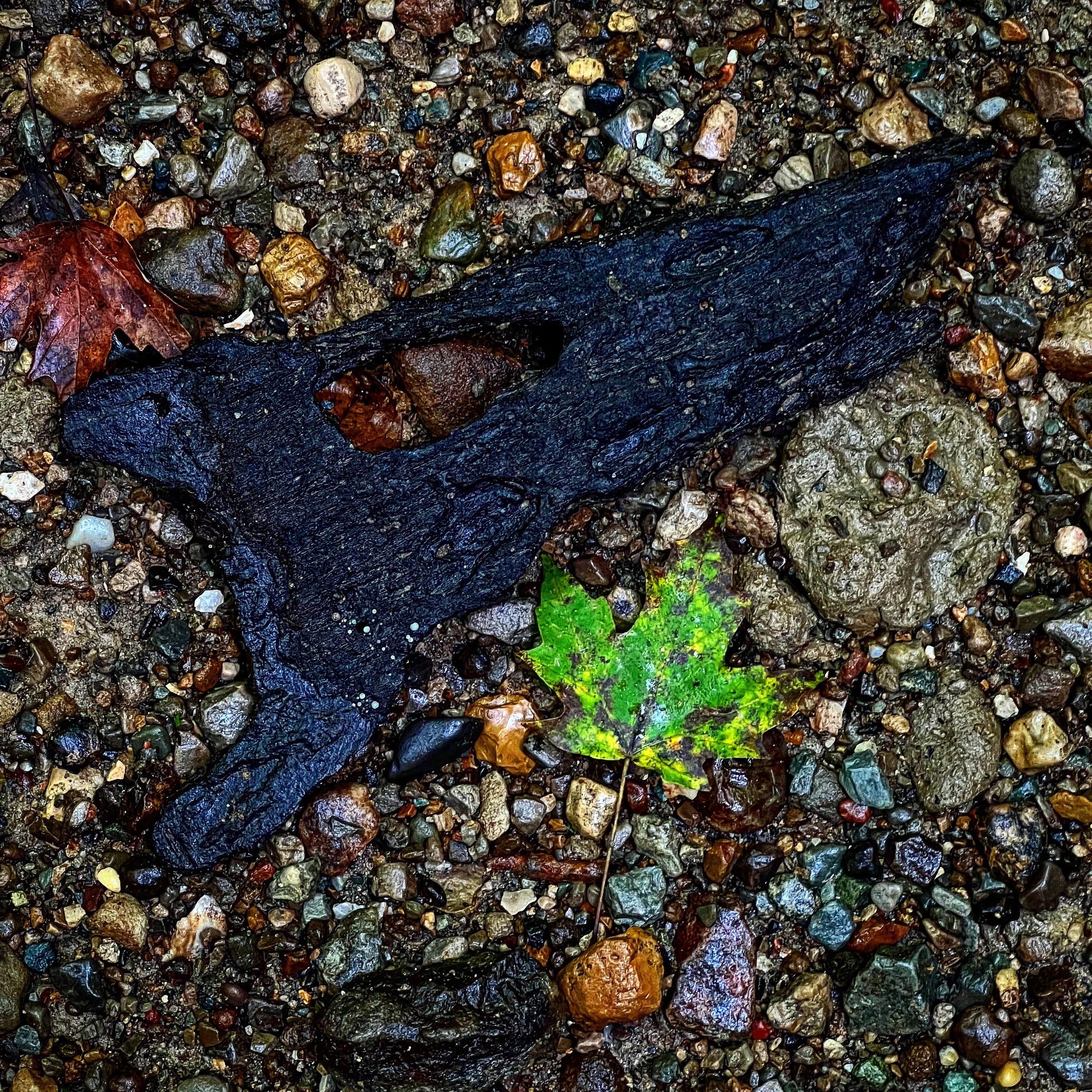 9542160B-A206-4399-A573-526B37C6A252.jpg