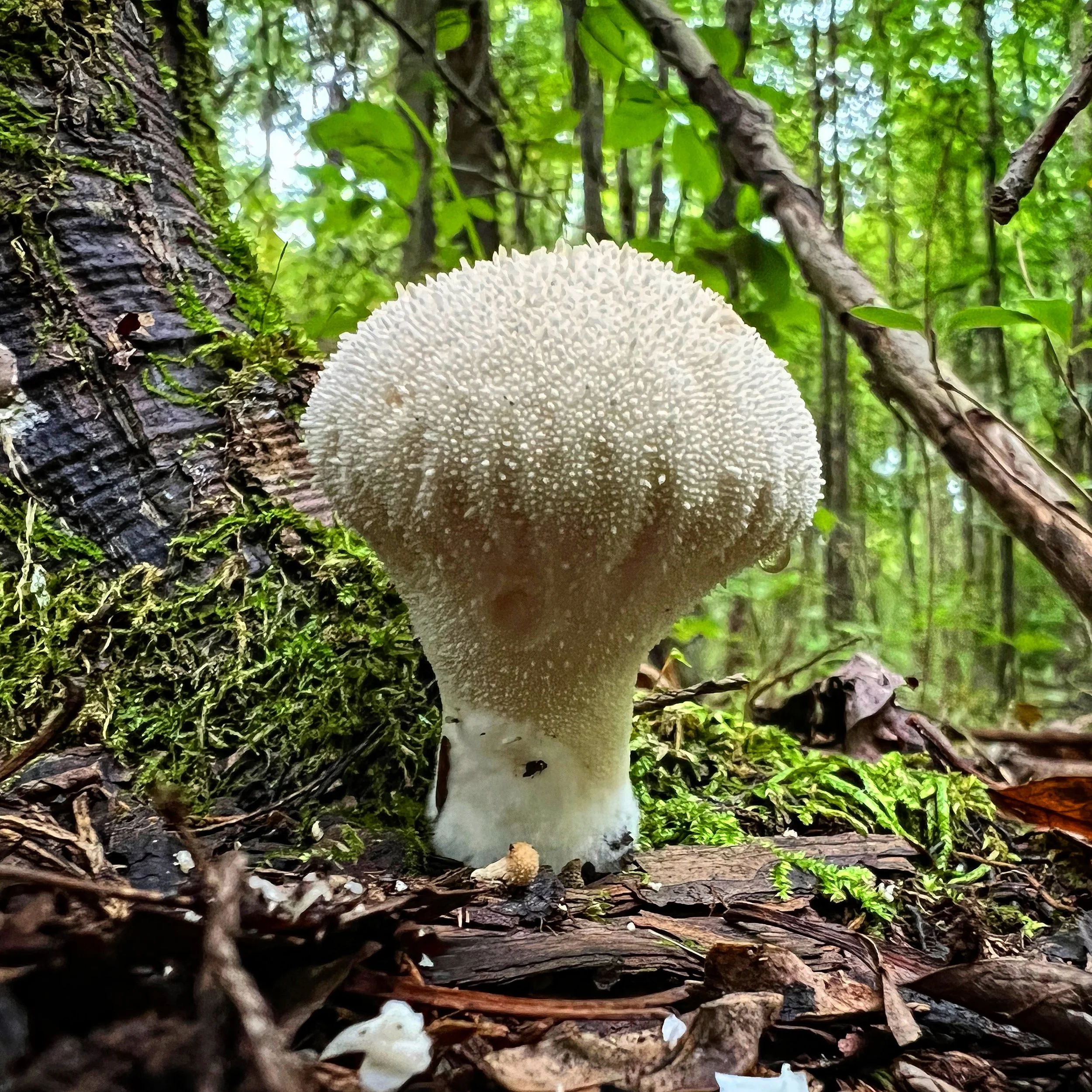 F0404992-F4A9-4811-837F-2824C122DB3F.jpg